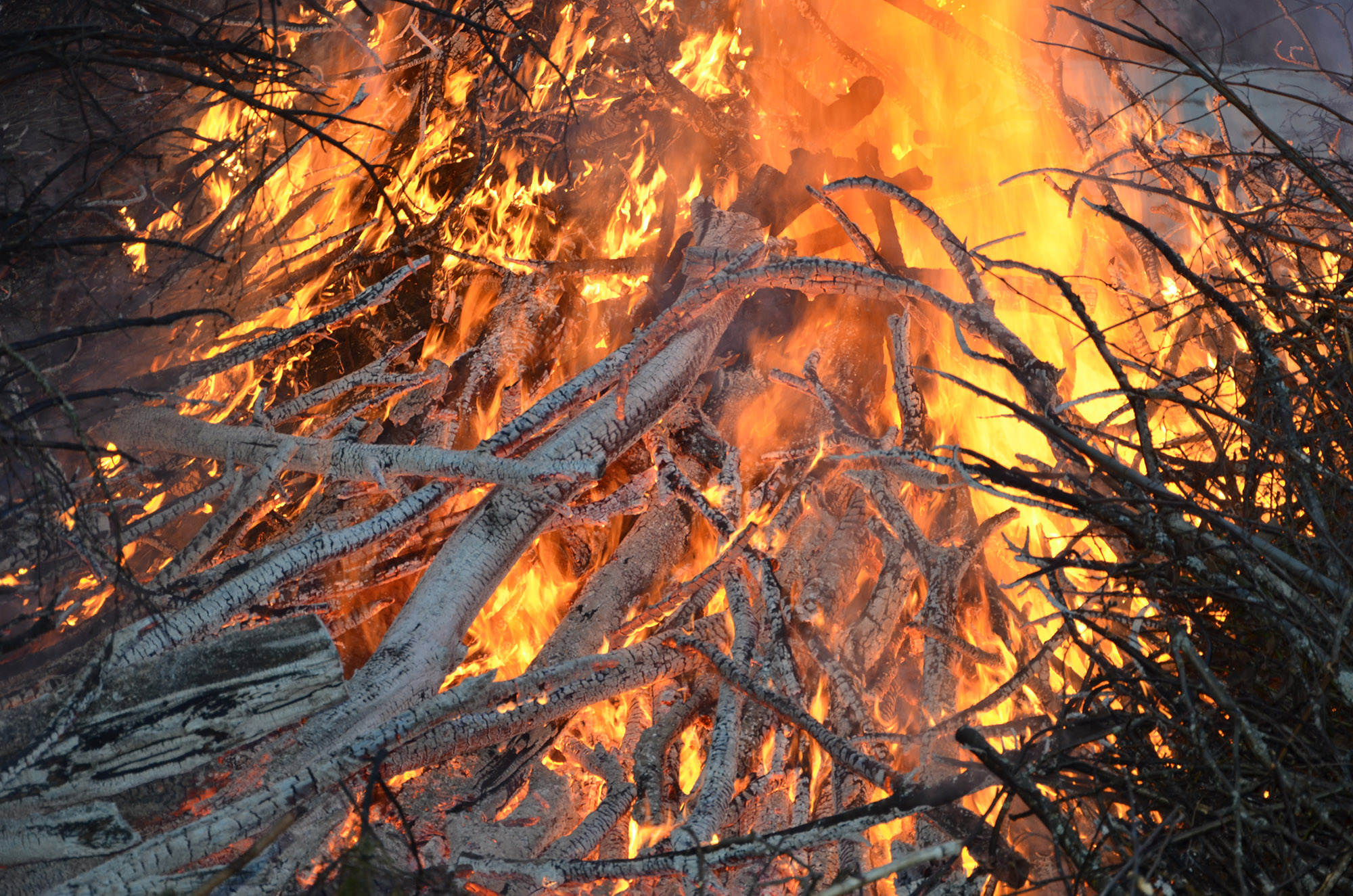 Röste.nu – Nyheter – Välbesökt Valborgsfirande i Röste 2024