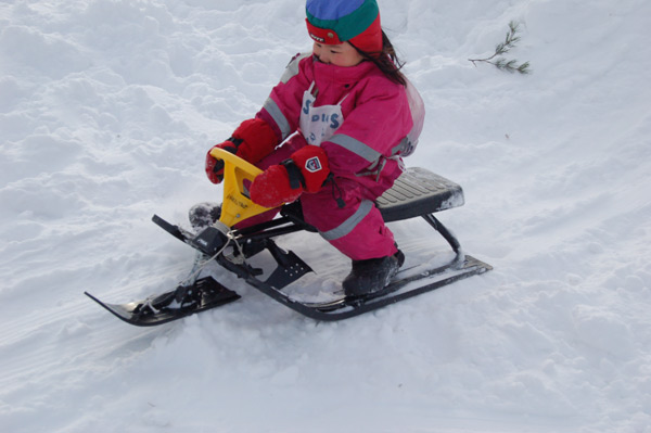 Röste.nu – Röstebilder – OS-inspirerad familjedag 2010