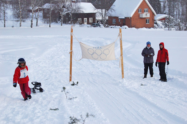 Röste.nu – Röstebilder – OS-inspirerad familjedag 2010