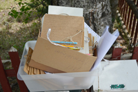 Röste.nu – Röstebilder – Ankrace nr 18 avgjordes i Röste 2024