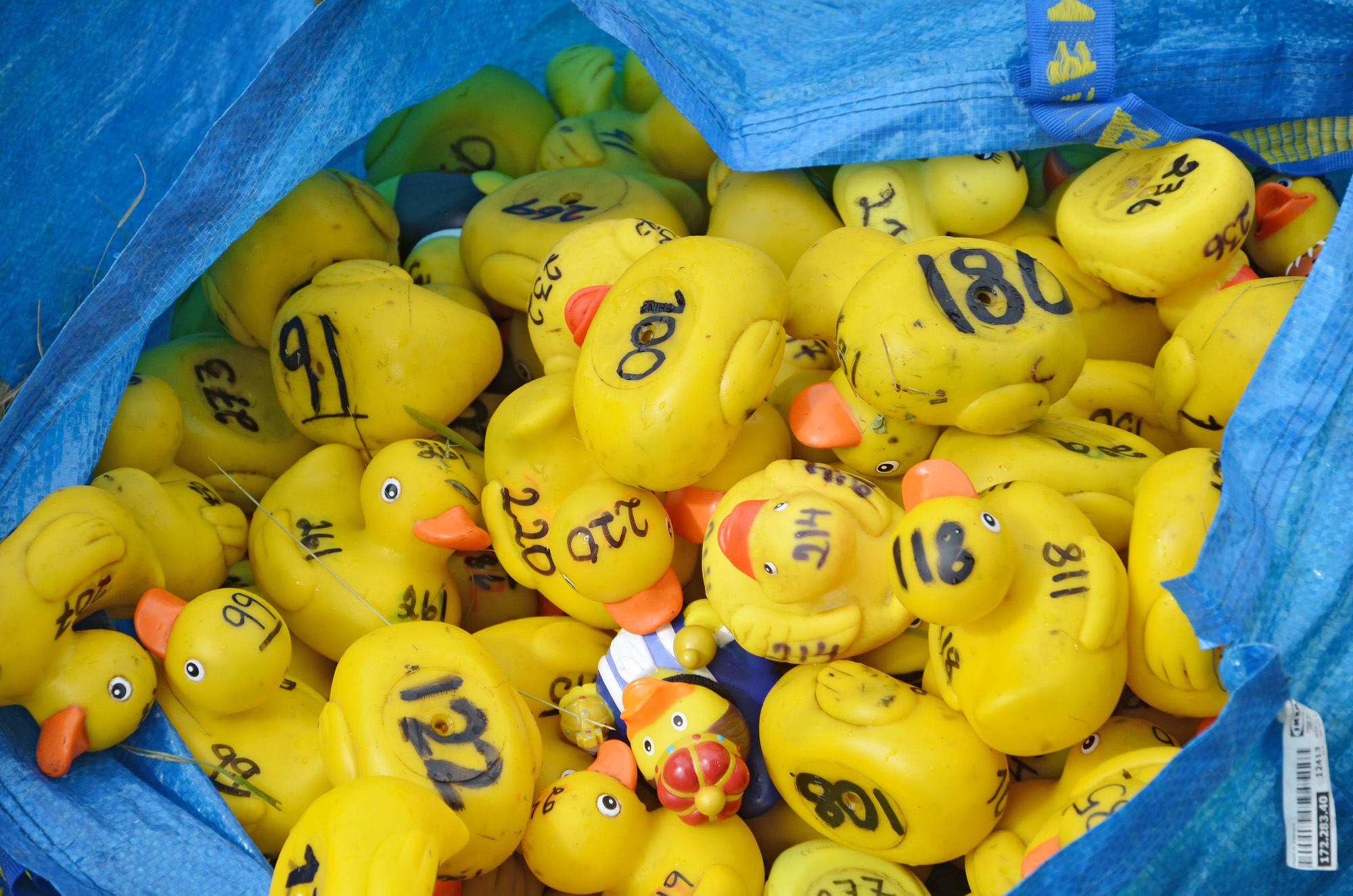 Röste.nu – Röstebilder – Ankrace i Galvån 2024