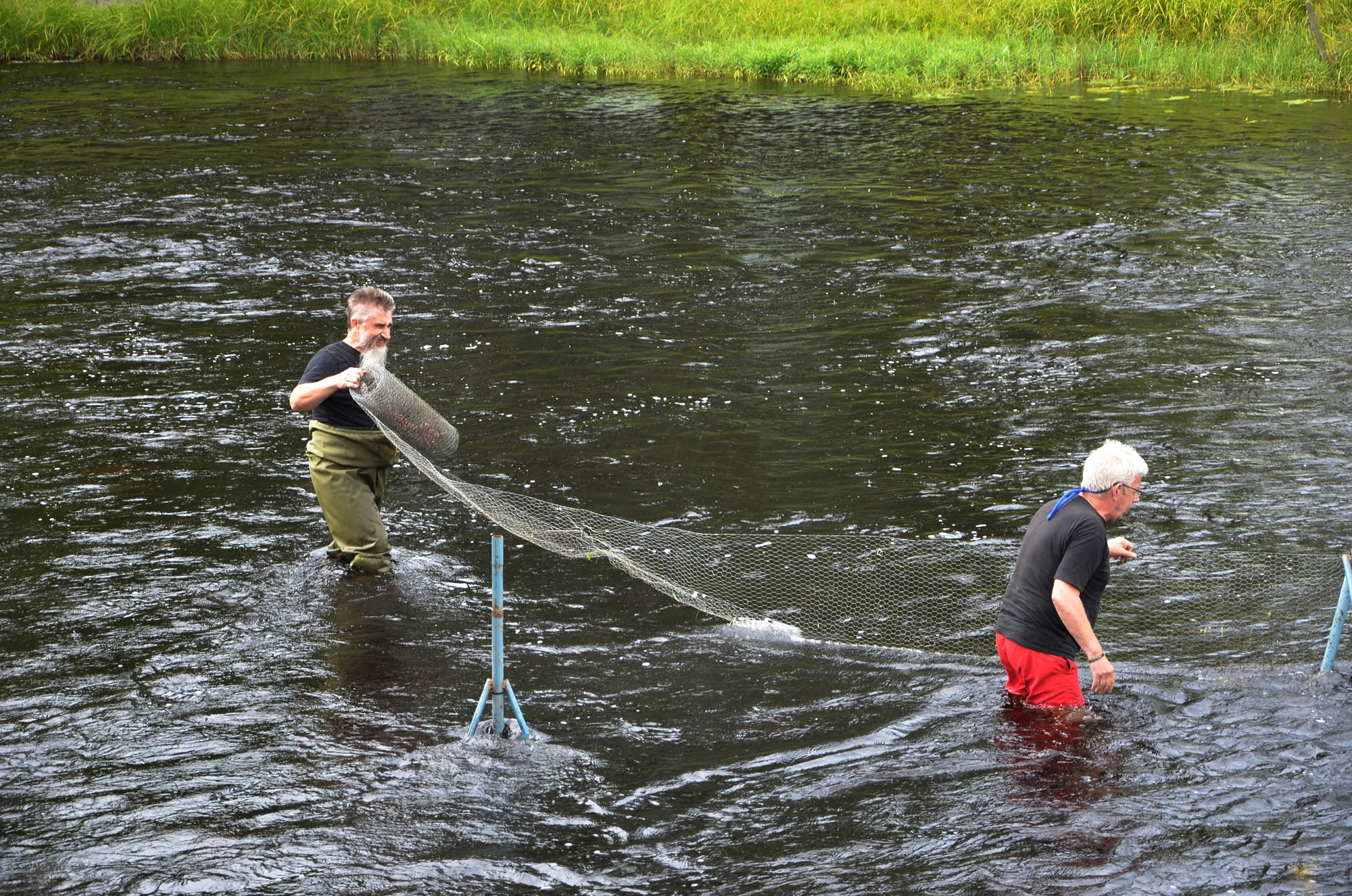 Röste.nu – Röstebilder – Ankrace i Galvån 2024