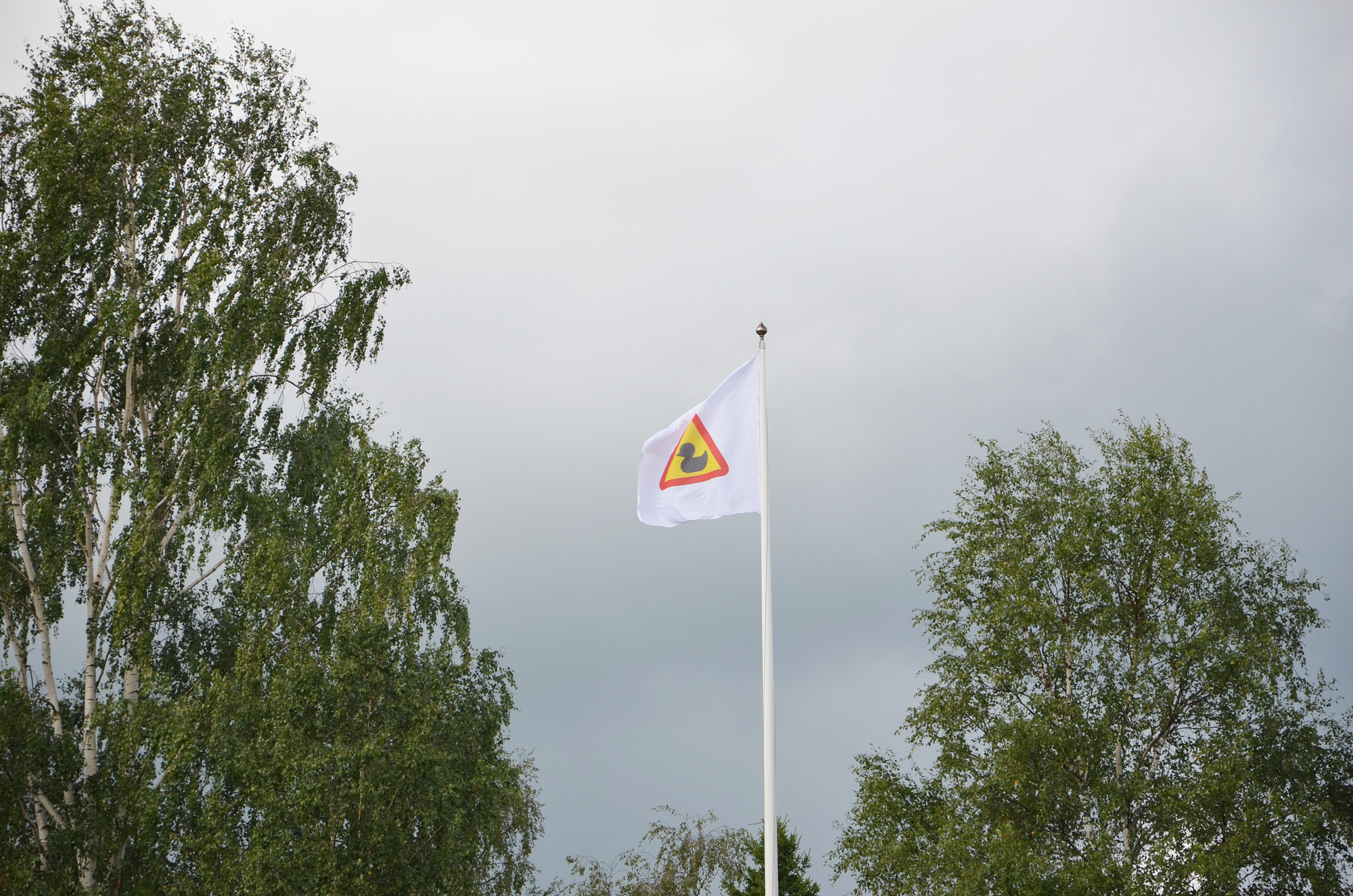 Röste.nu – Röstebilder – Ankrace i Galvån 2024