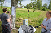 Röste.nu – Röstebilder – Ankrace nr 18 avgjordes i Röste 2024