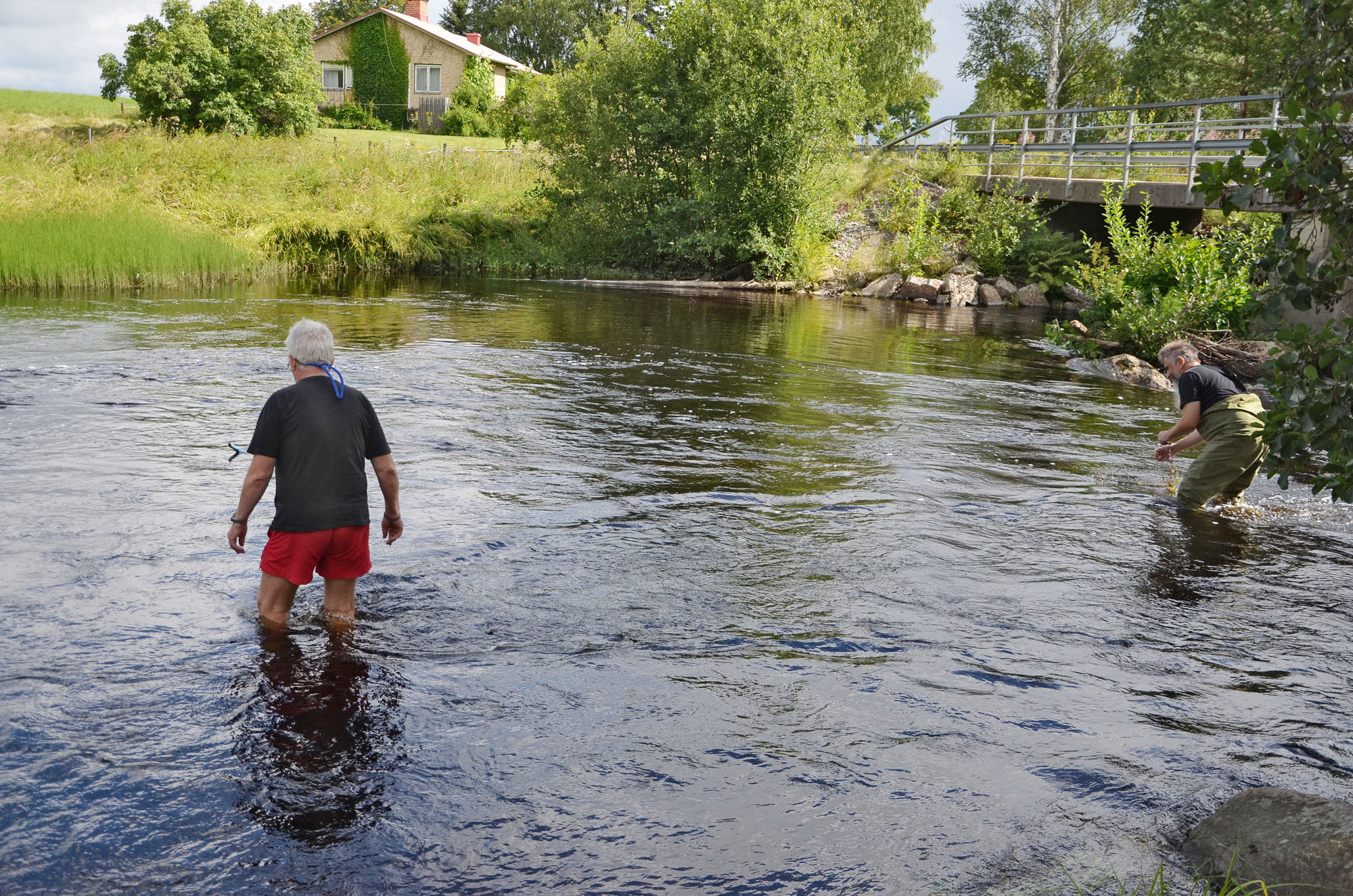 Röste.nu – Röstebilder – Ankrace i Galvån 2024