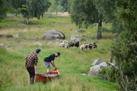 Röste.nu – Röstebilder – Ankrace nr 18 avgjordes i Röste 2024