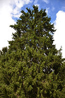 Röste.nu – Röstebilder – Ankrace nr 18 avgjordes i Röste 2024