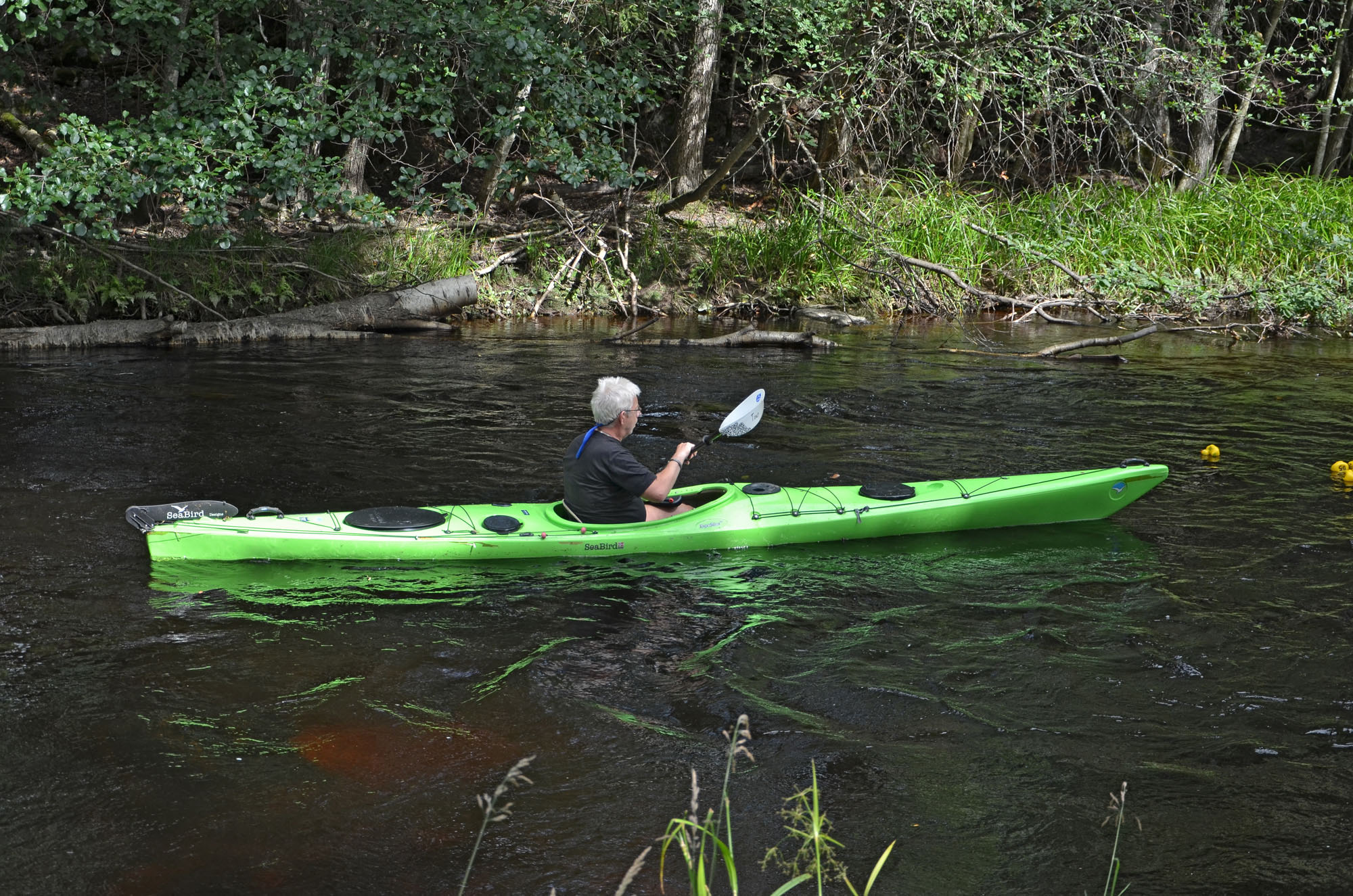 Röste.nu – Röstebilder – Ankrace i Galvån 2024