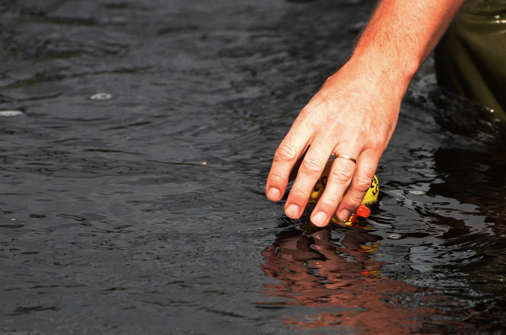 Röste.nu – Röstebilder – Ankrace i Galvån 2024