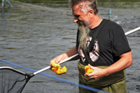 Röste.nu – Röstebilder – Ankrace nr 18 avgjordes i Röste 2024