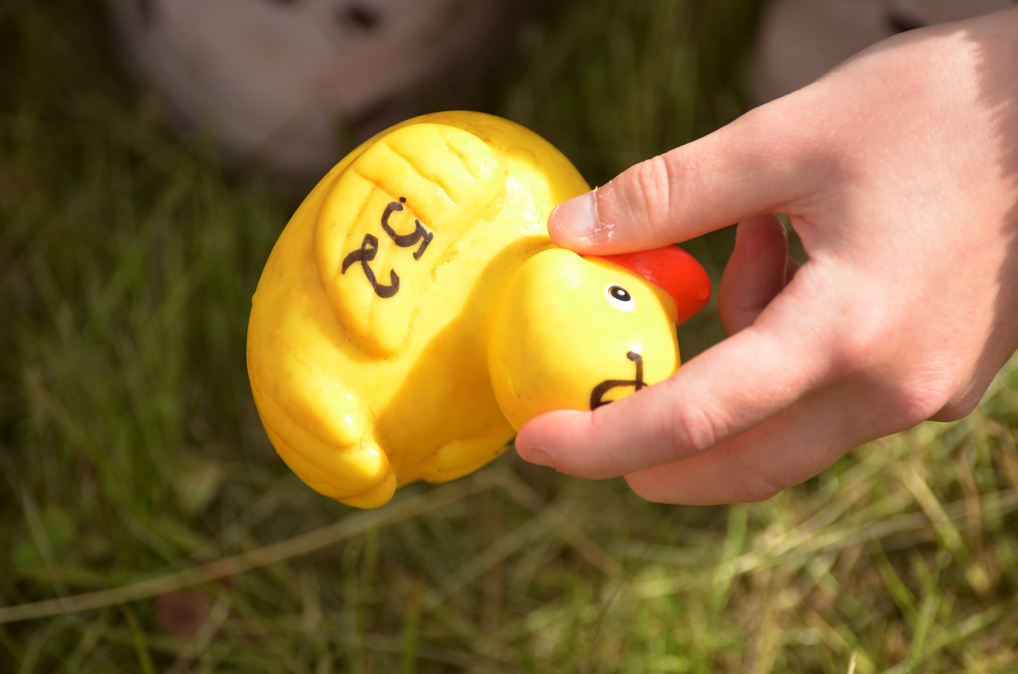 Röste.nu – Röstebilder – Ankrace i Galvån 2024