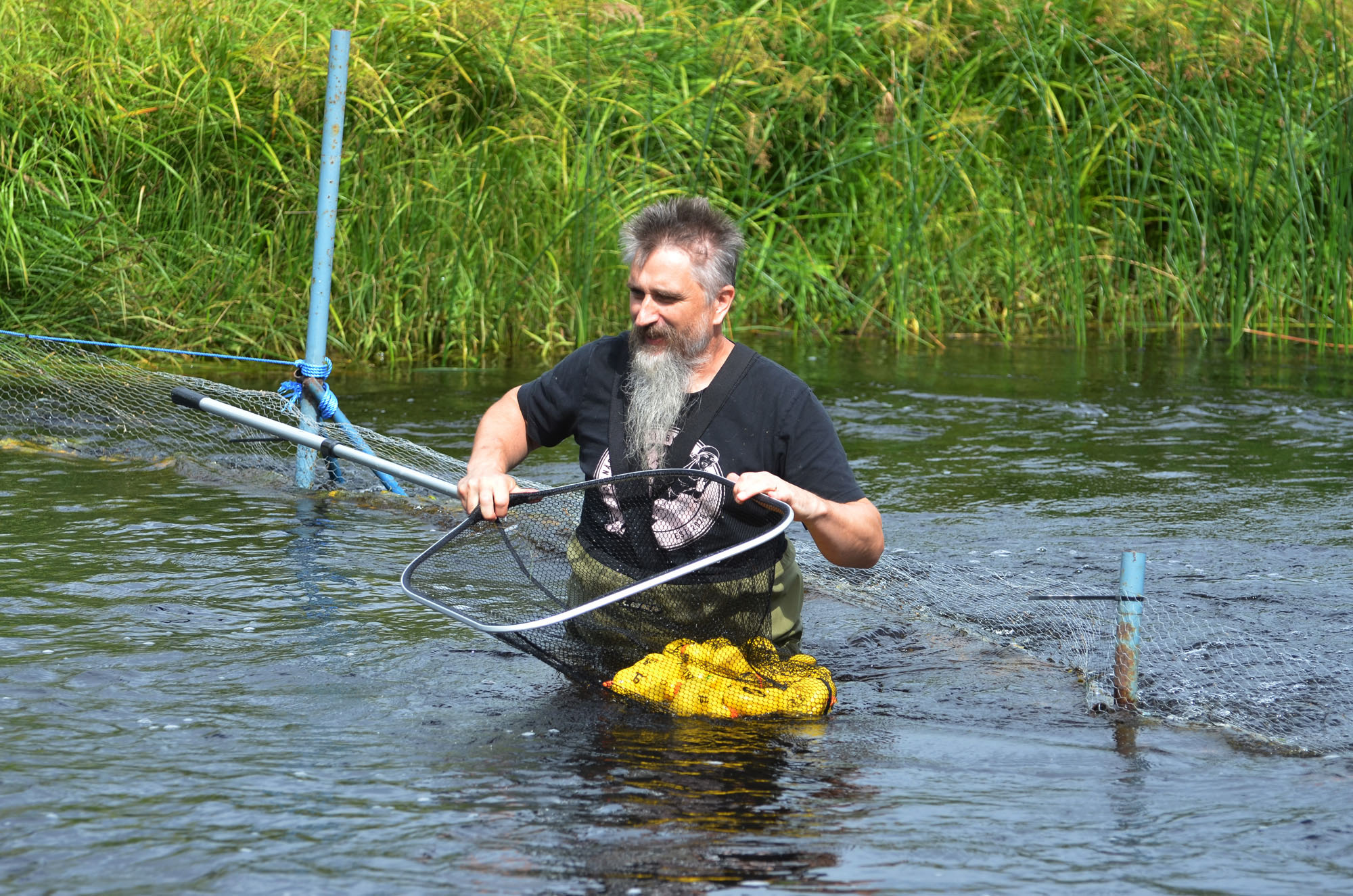 Röste.nu – Röstebilder – Ankrace i Galvån 2024