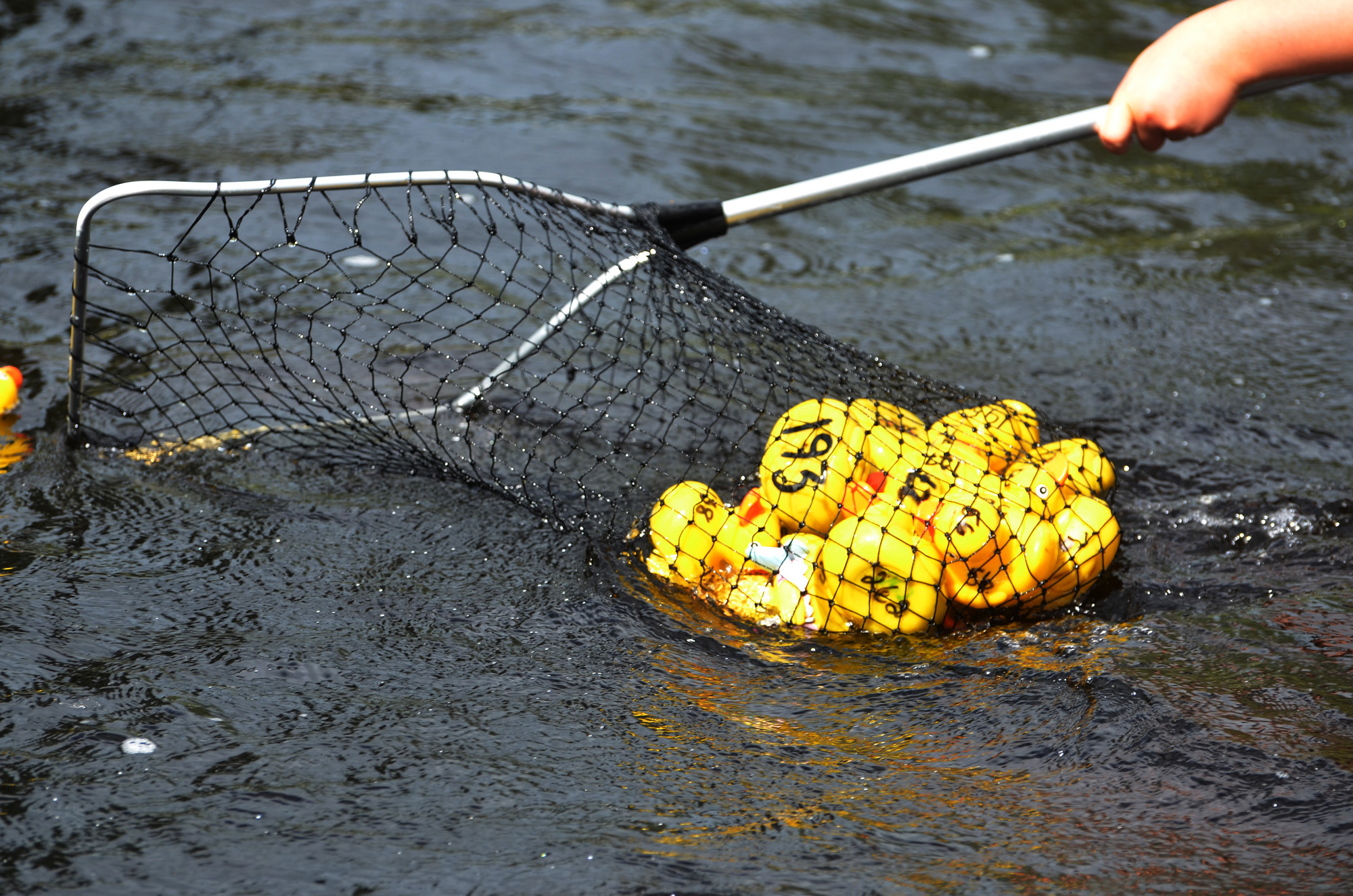 Röste.nu – Röstebilder – Ankrace i Galvån 2024