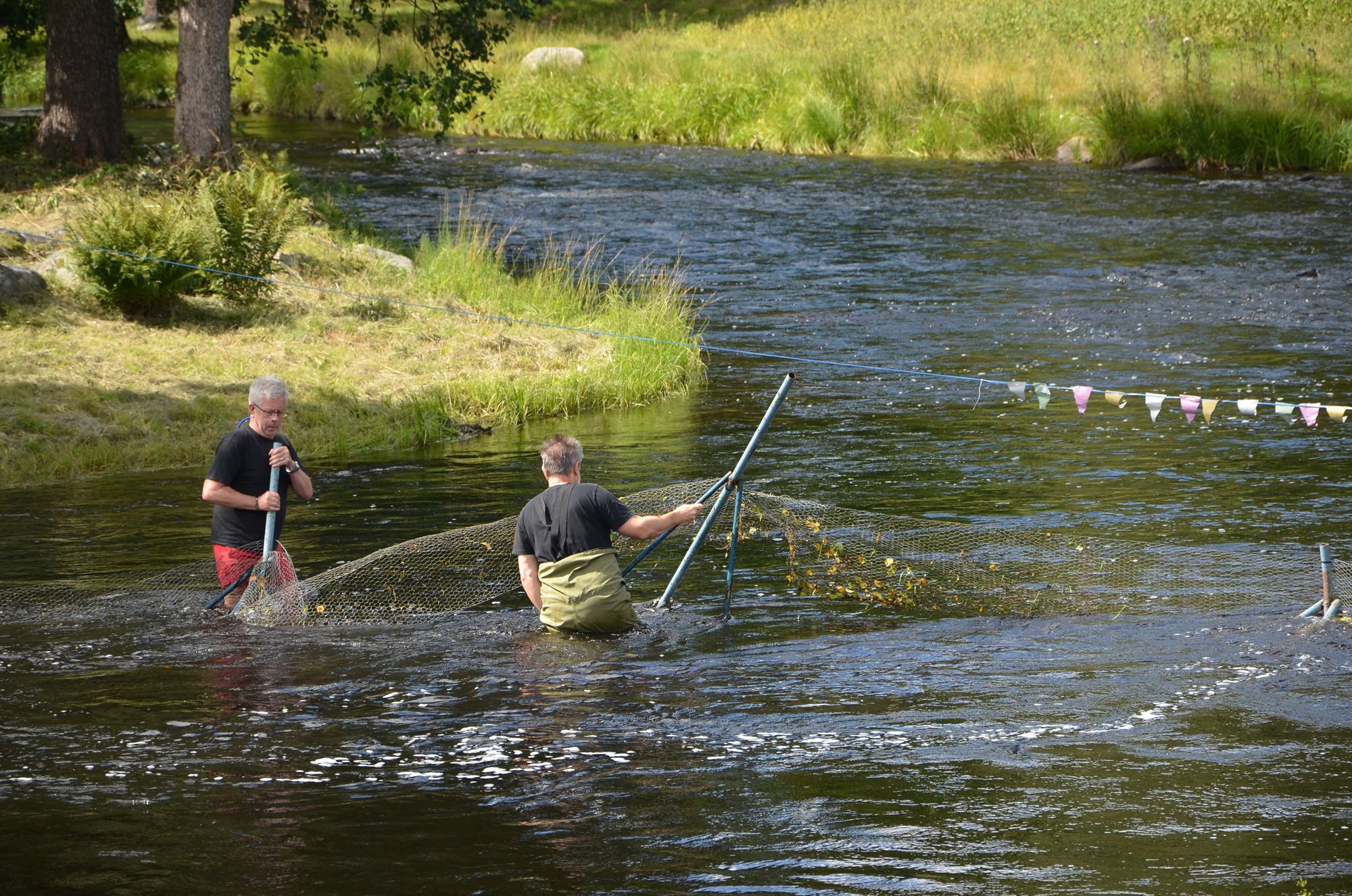 Röste.nu – Röstebilder – Ankrace i Galvån 2024