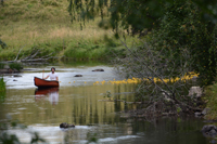 Röste.nu – Röstebilder – Ankrace i Galvån – 20-årsjubileum 2026