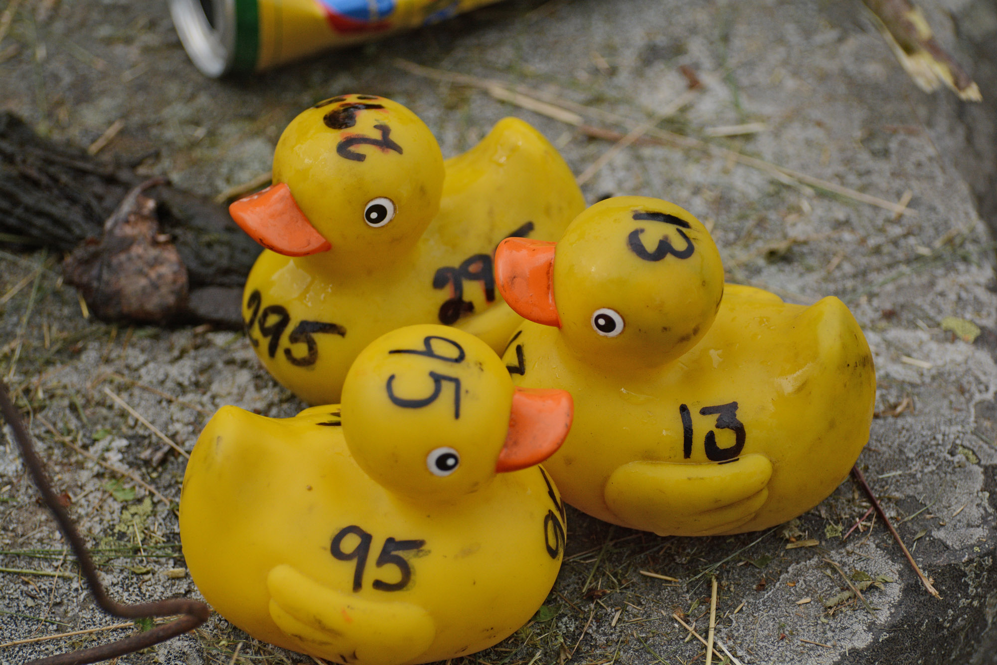 Röste.nu – Röstebilder – Ankrace i Galvån – 20-årsjubileum 2026