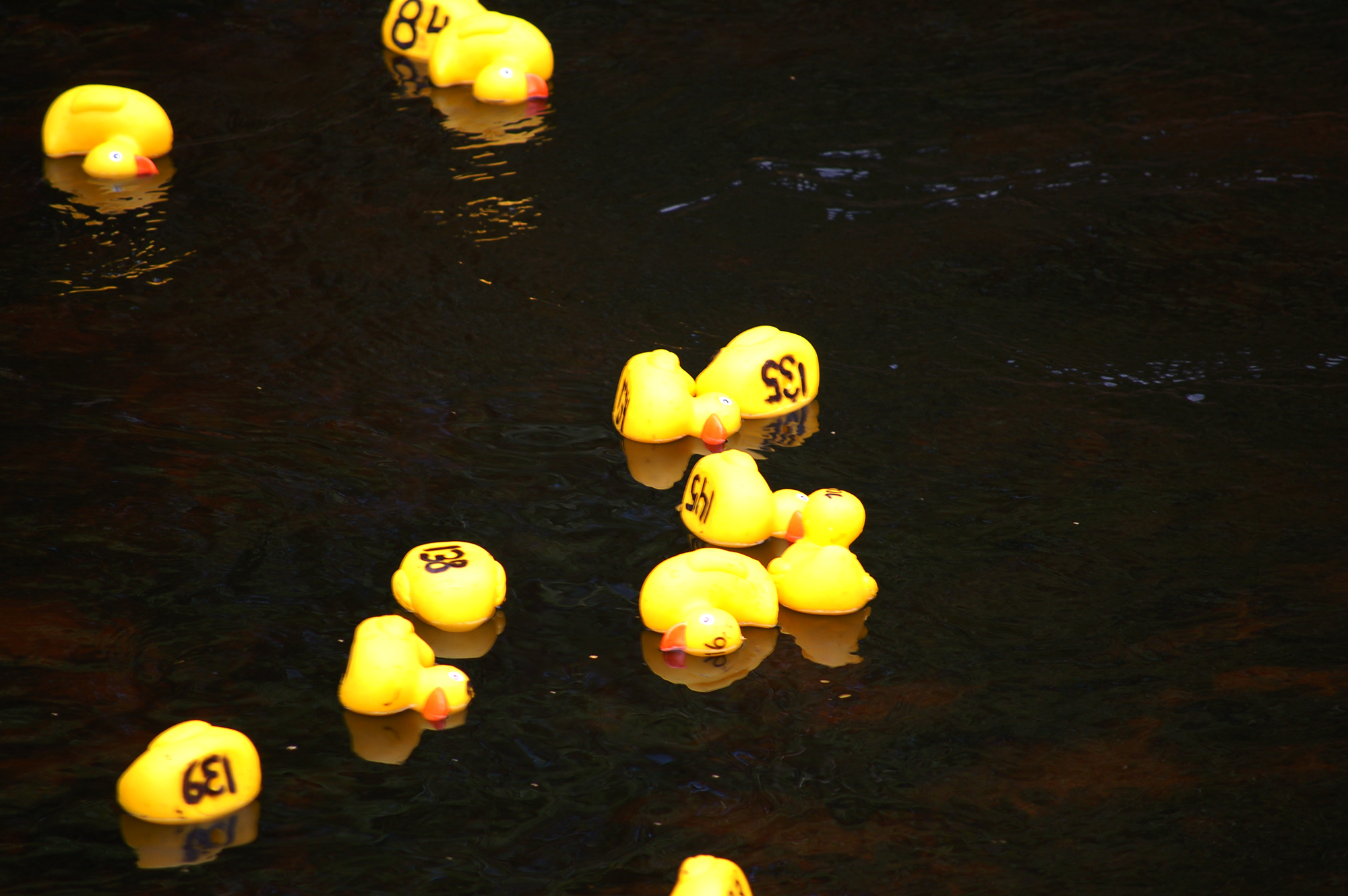 Röste.nu – Röstebilder – Ankrace i Galvån för tredje året 2008