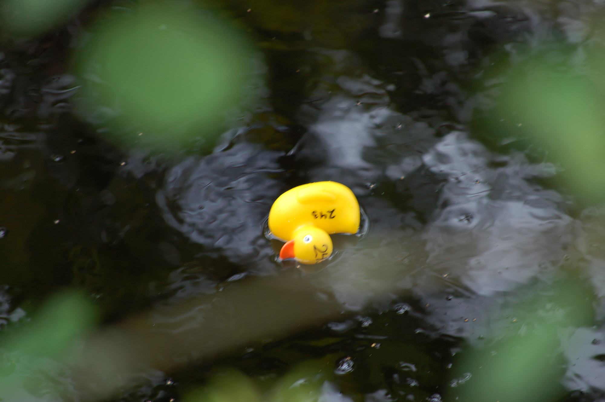 Röste.nu – Röstebilder – Ankrace i Galvån för tredje året 2008