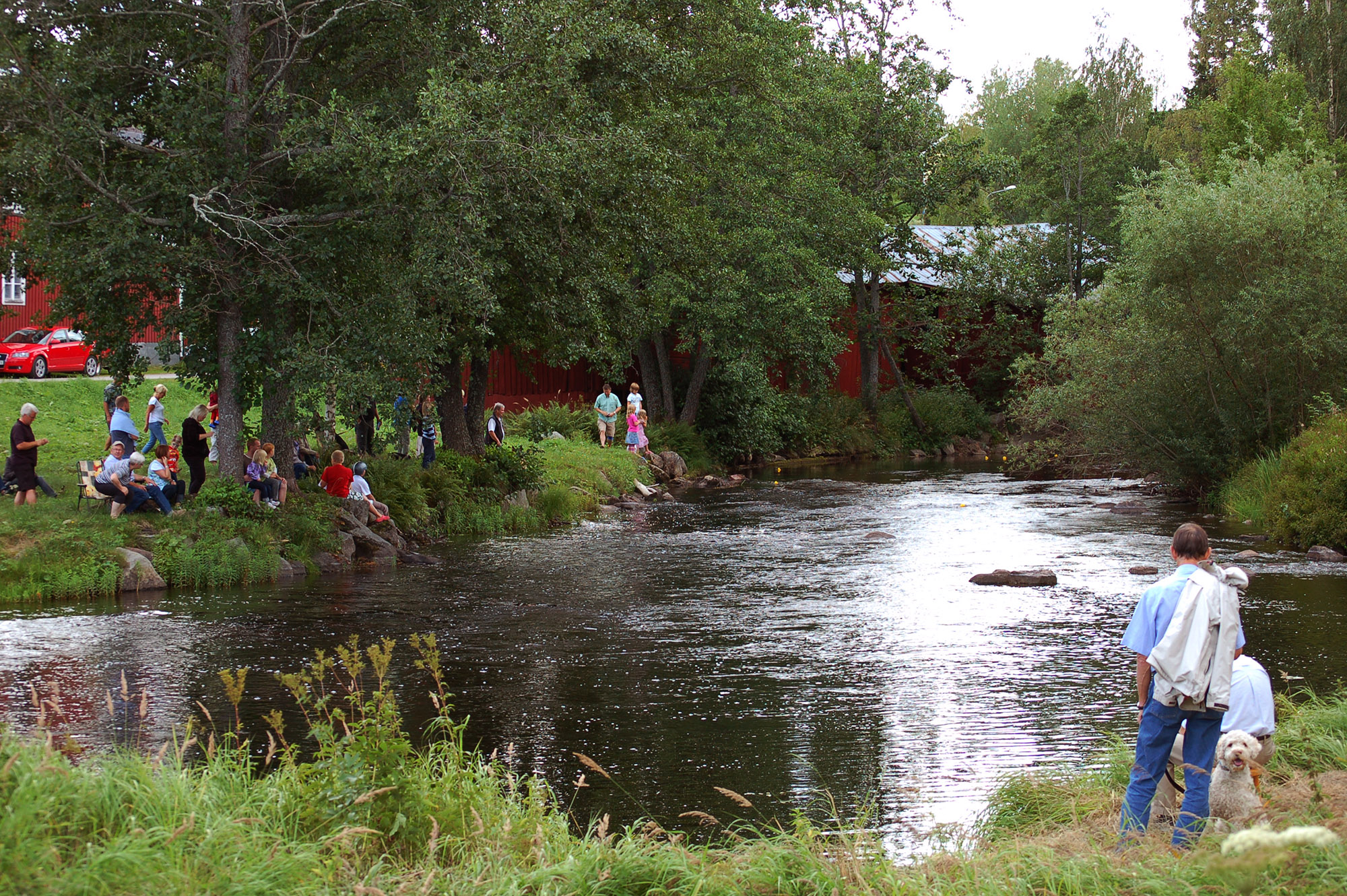 Röste.nu – Röstebilder – Ankrace i Galvån för tredje året 2008