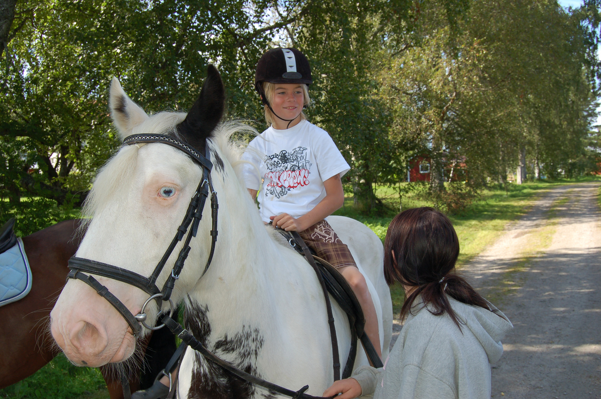 Röste.nu – Röstebilder – Ankrace med norrländsk prägel 2009