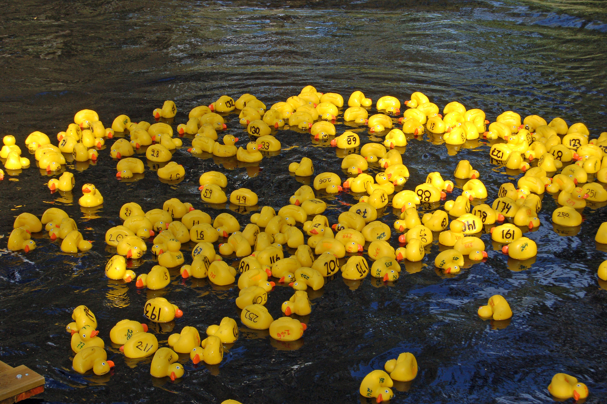 Röste.nu – Röstebilder – Ankrace med norrländsk prägel 2009