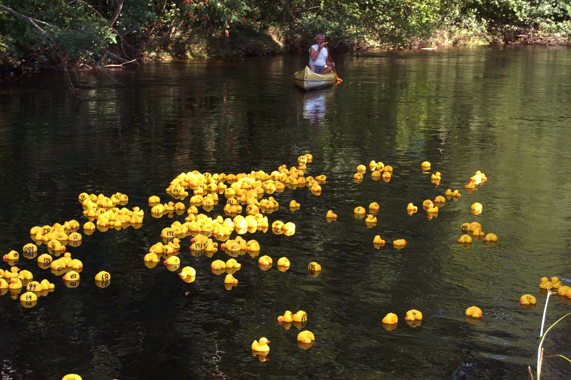 Röste.nu – Röstebilder – Ankrace med norrländsk prägel 2009