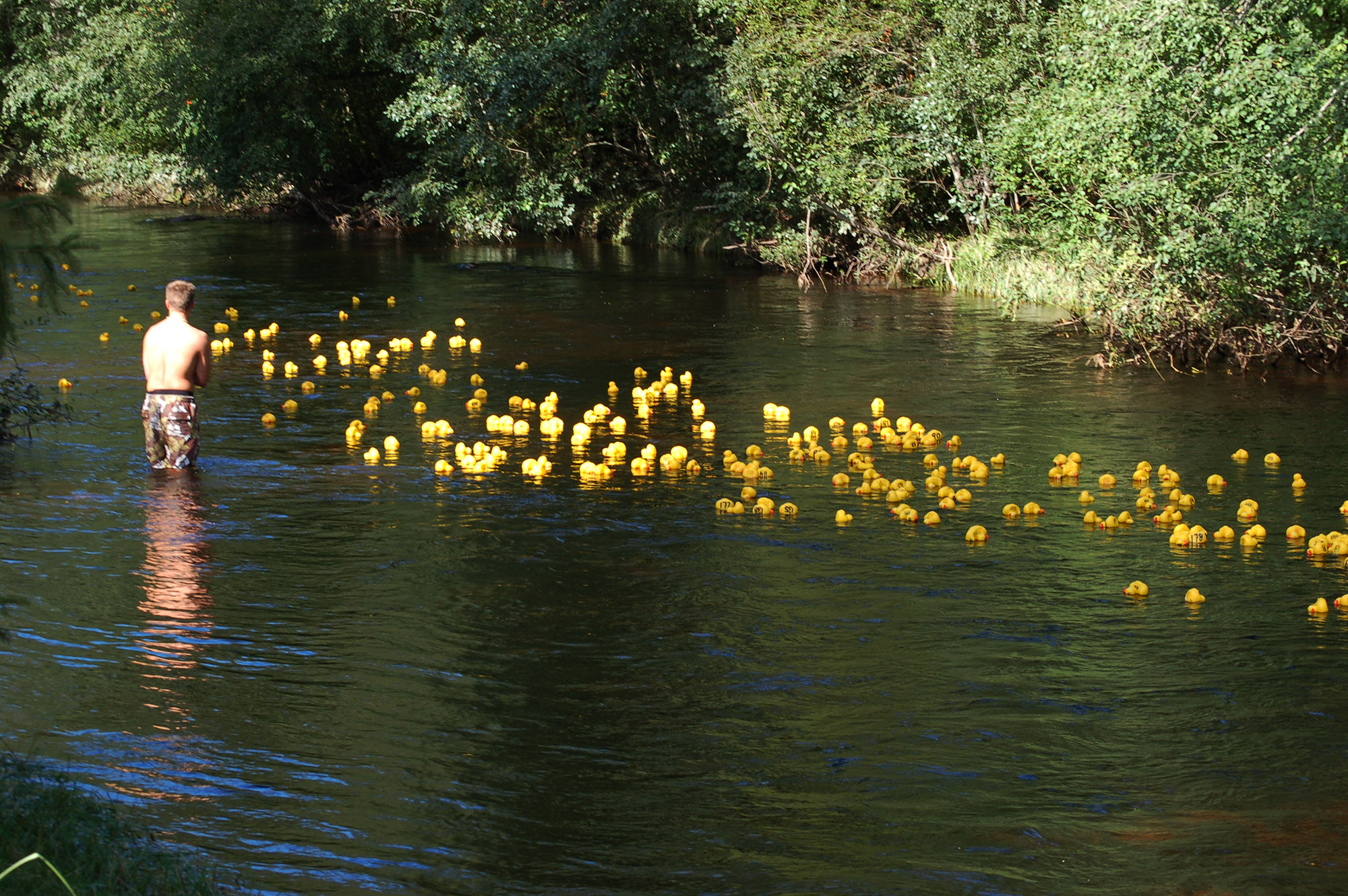 Röste.nu – Röstebilder – Ankrace med norrländsk prägel 2009