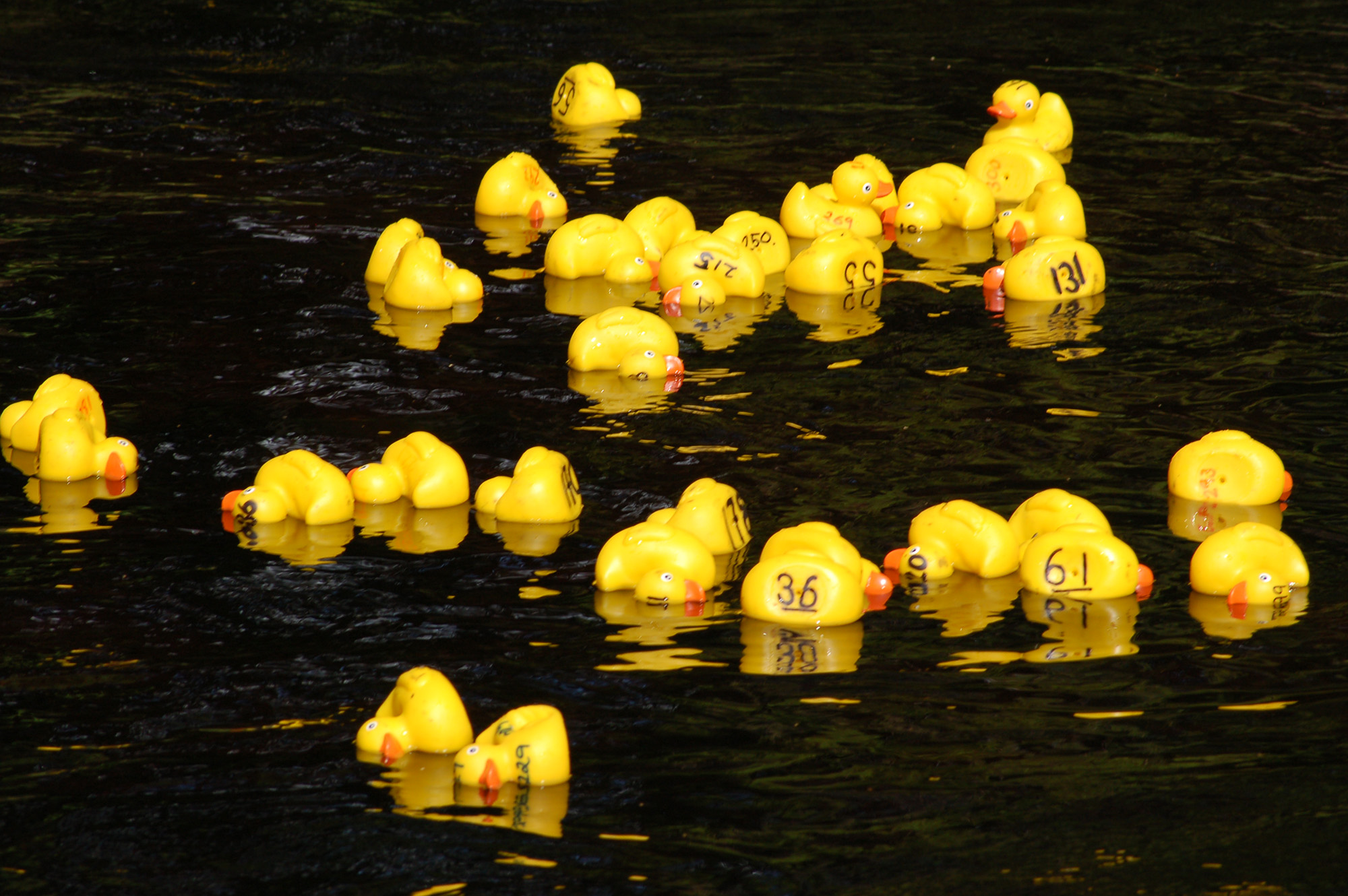 Röste.nu – Röstebilder – Ankrace med norrländsk prägel 2009