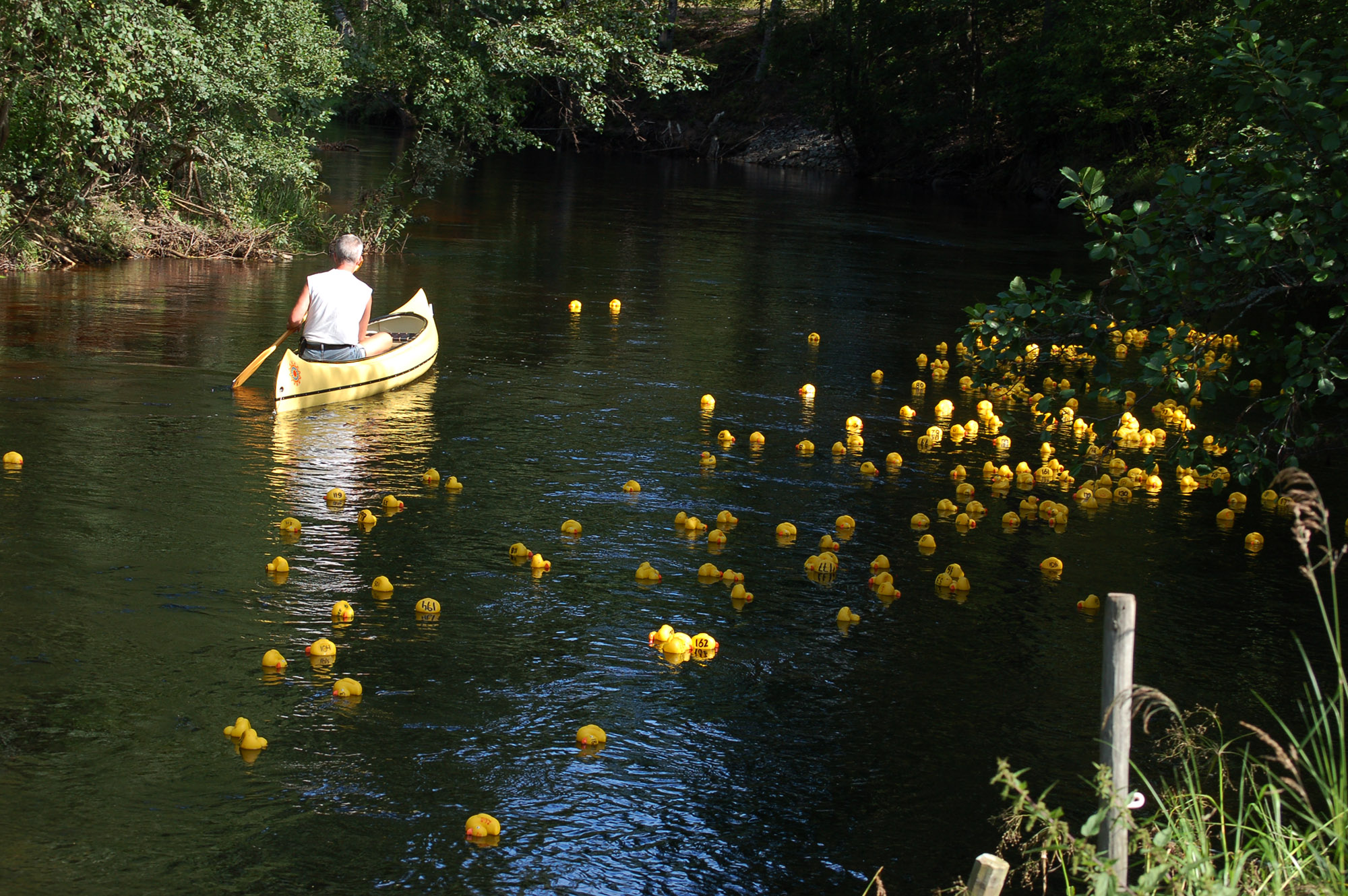 Röste.nu – Röstebilder – Ankrace med norrländsk prägel 2009