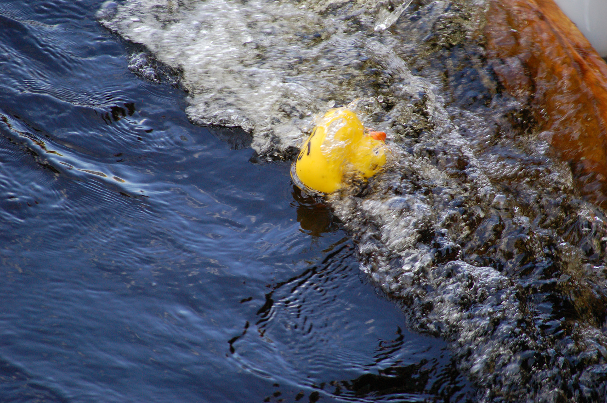 Röste.nu – Röstebilder – Ankrace med norrländsk prägel 2009
