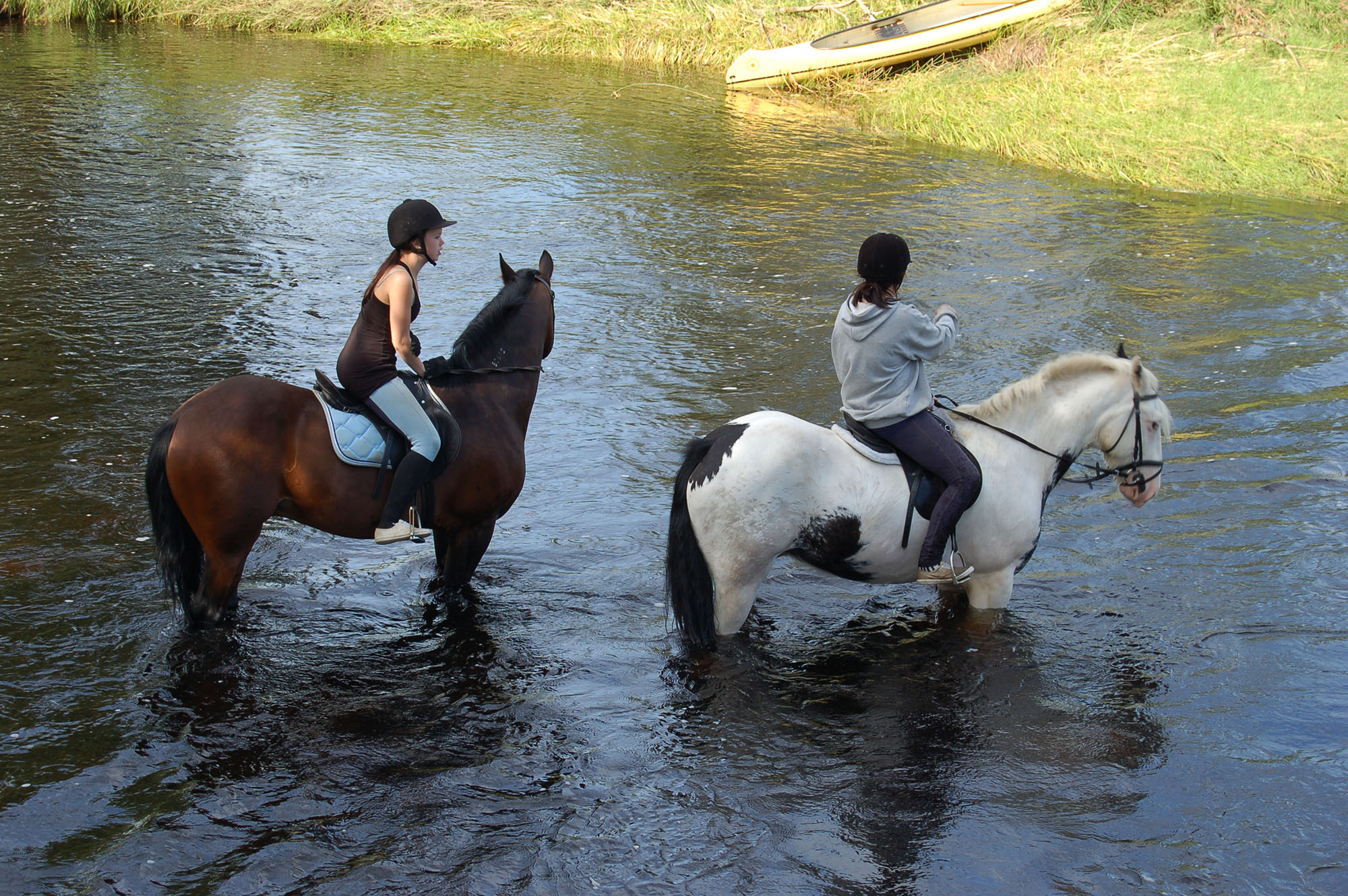 Röste.nu – Röstebilder – Ankrace med norrländsk prägel 2009