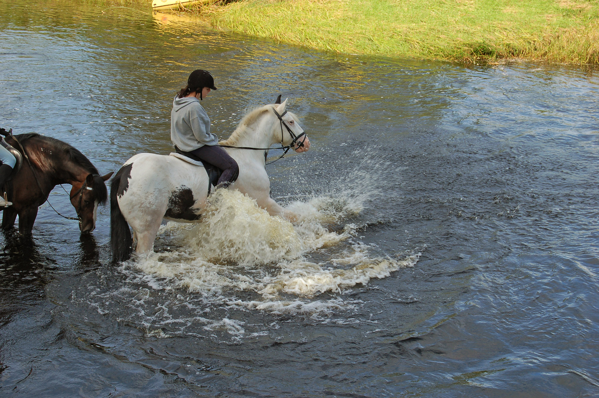 Röste.nu – Röstebilder – Ankrace med norrländsk prägel 2009
