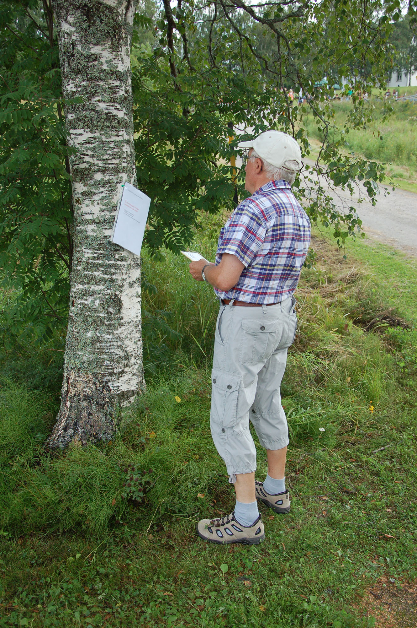 Röste.nu – Röstebilder – Ankracet i Galvån 2011