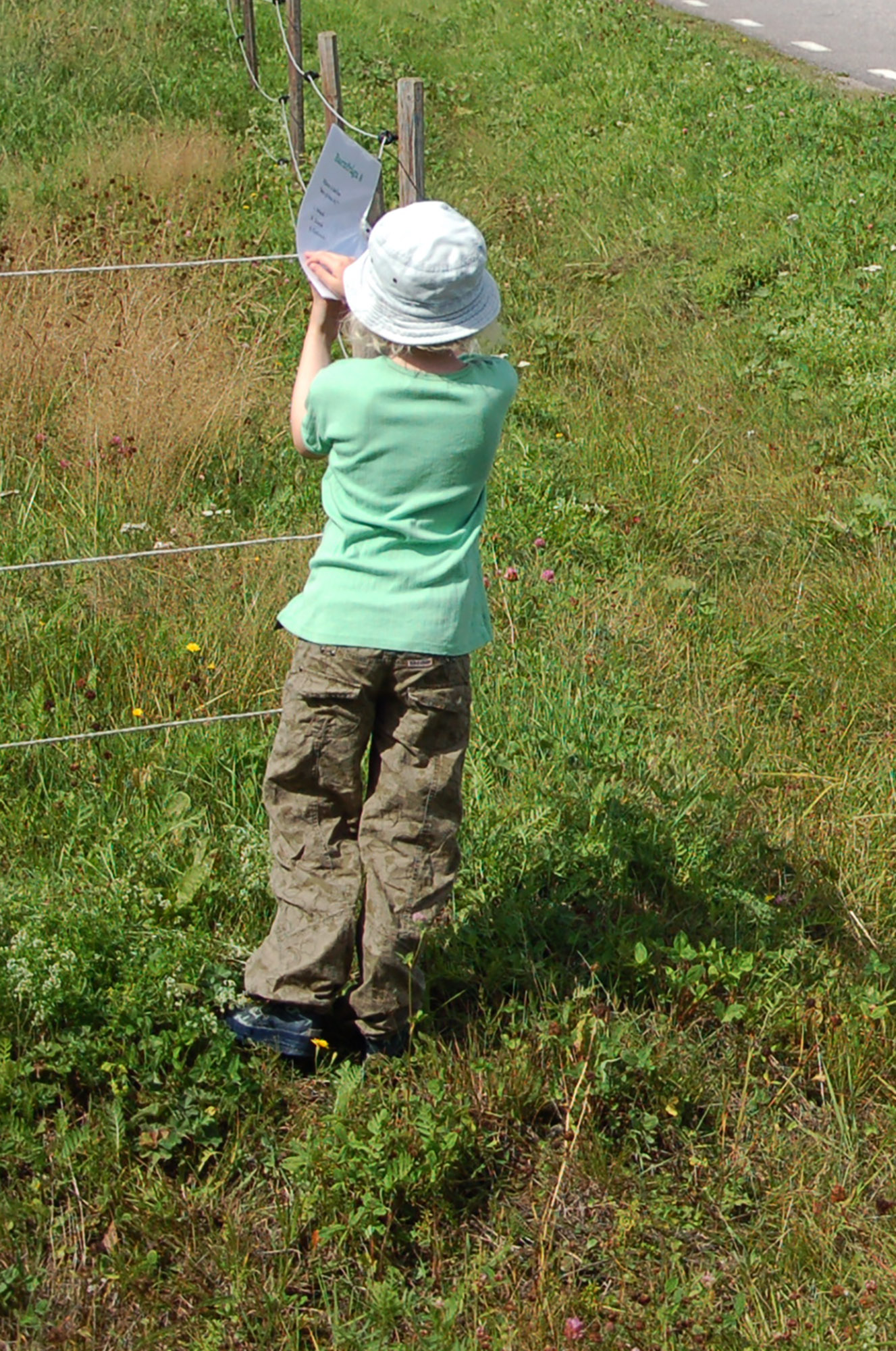 Röste.nu – Röstebilder – Ankracet i Galvån 2011