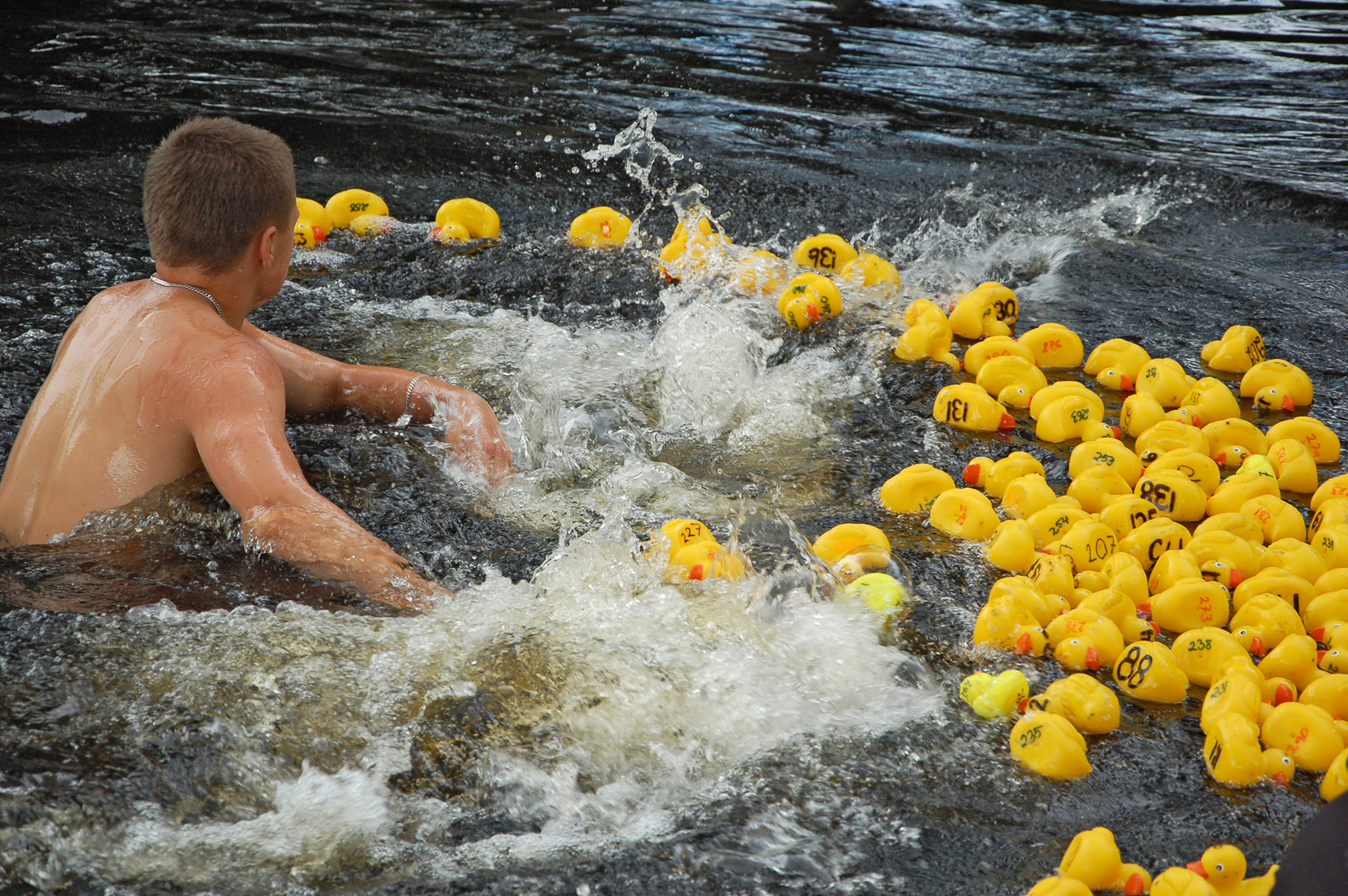 Röste.nu – Röstebilder – Ankracet i Galvån 2011