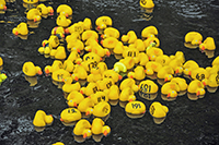 Röste.nu – Röstebilder – Ankrace i Galvån 2012