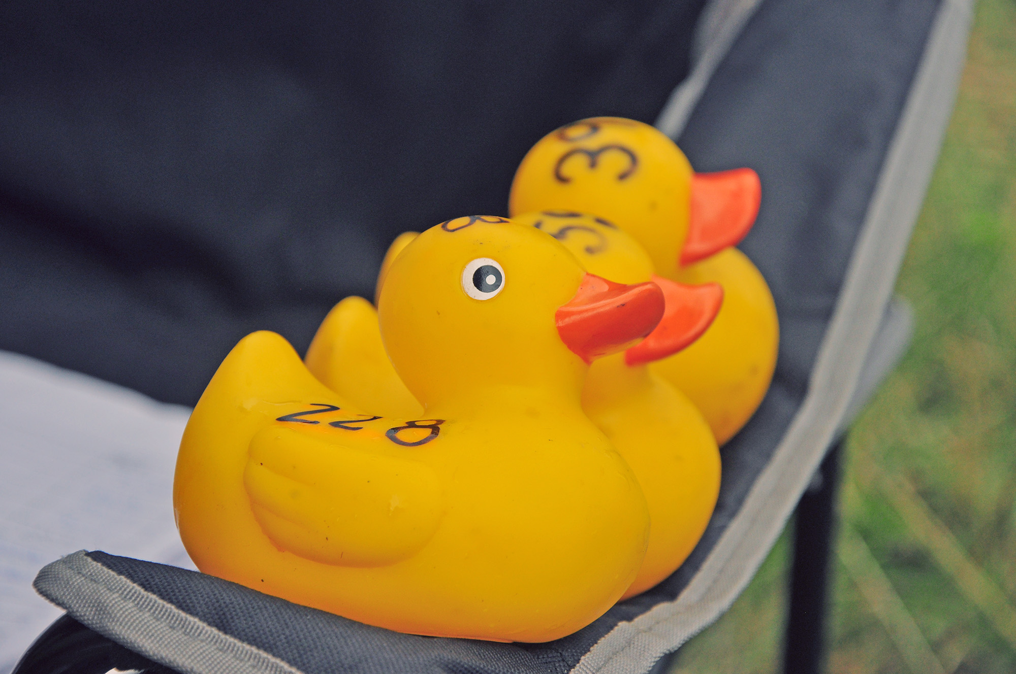 Röste.nu – Röstebilder – Ankrace i Galvån 2012