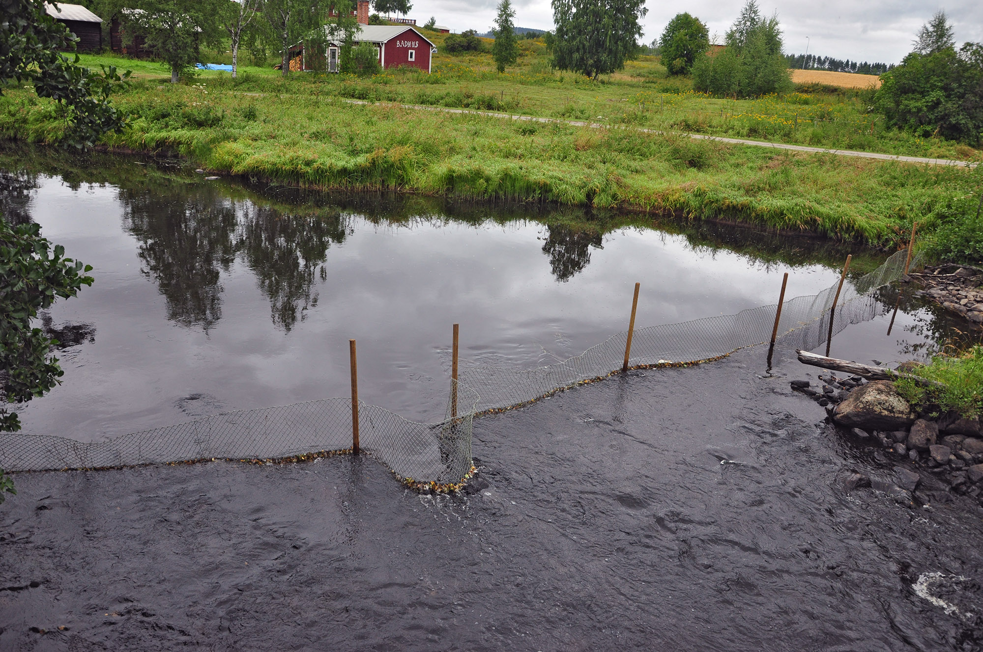 Röste.nu – Röstebilder – Ankrace i Galvån 2013