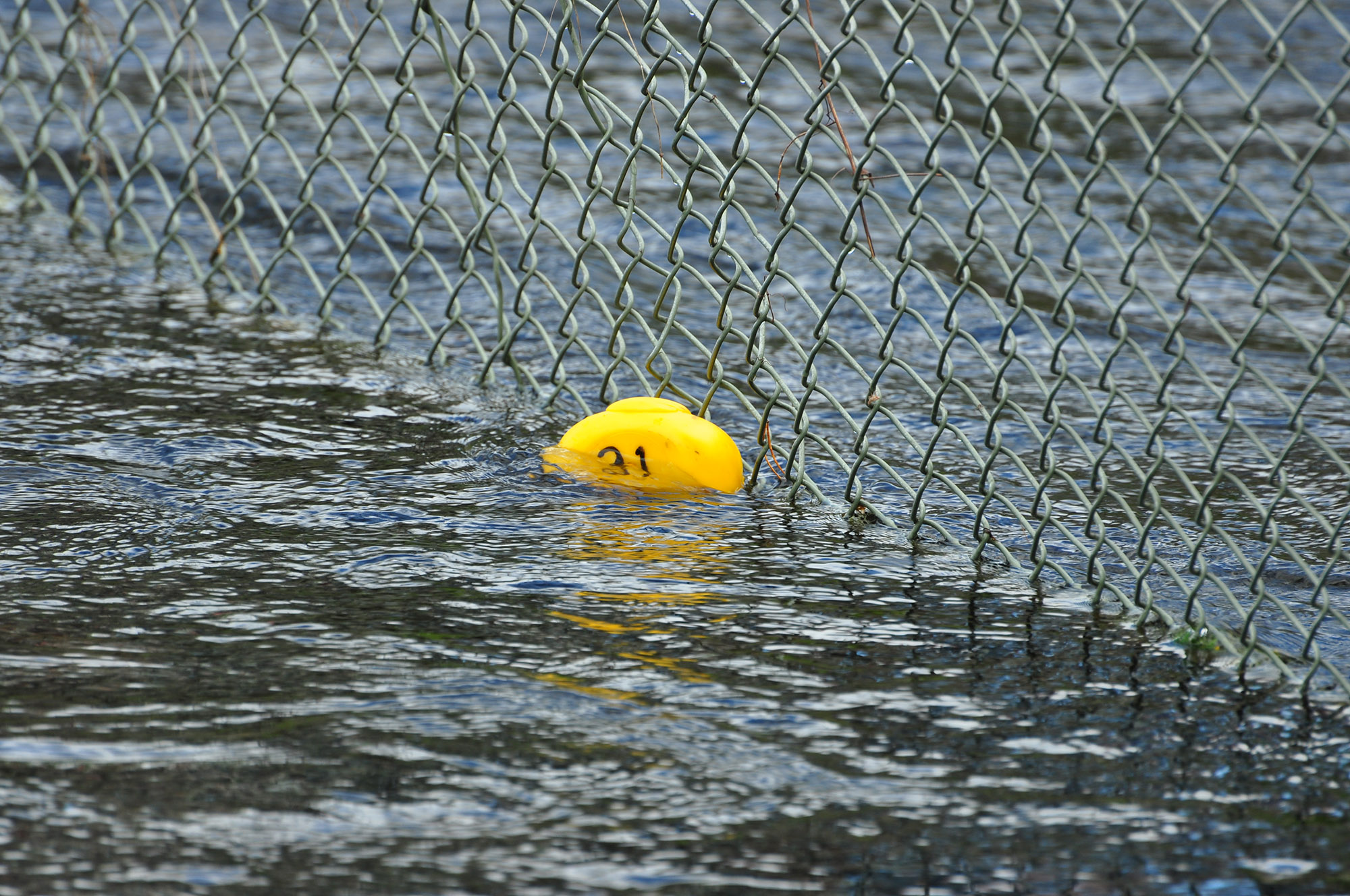 Röste.nu – Röstebilder – Ankrace i Galvån 2013