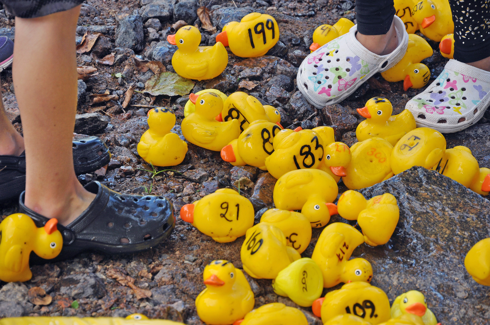 Röste.nu – Röstebilder – Ankrace i Galvån 2013