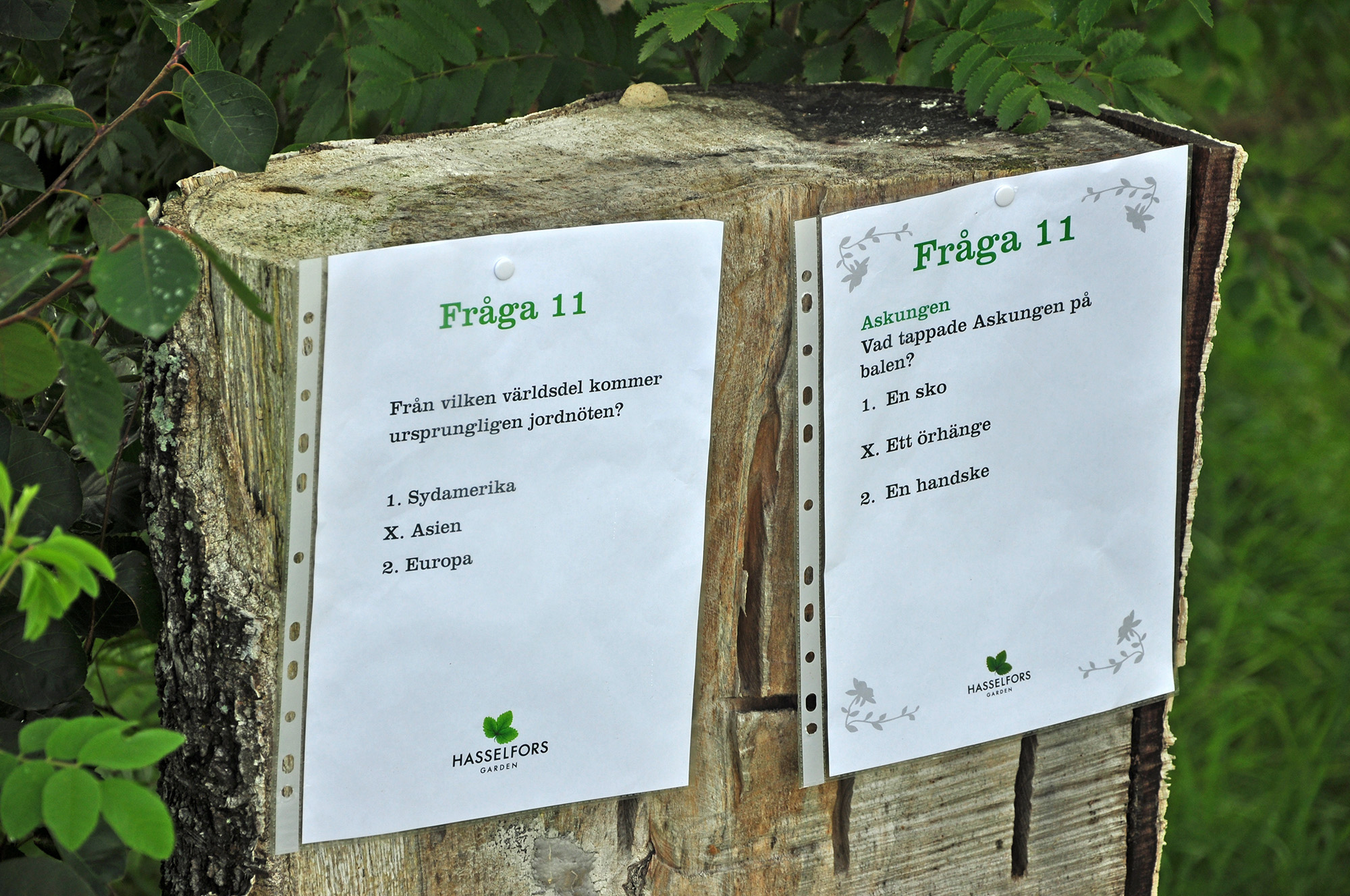 Röste.nu – Röstebilder – Ankrace i Galvån 2013