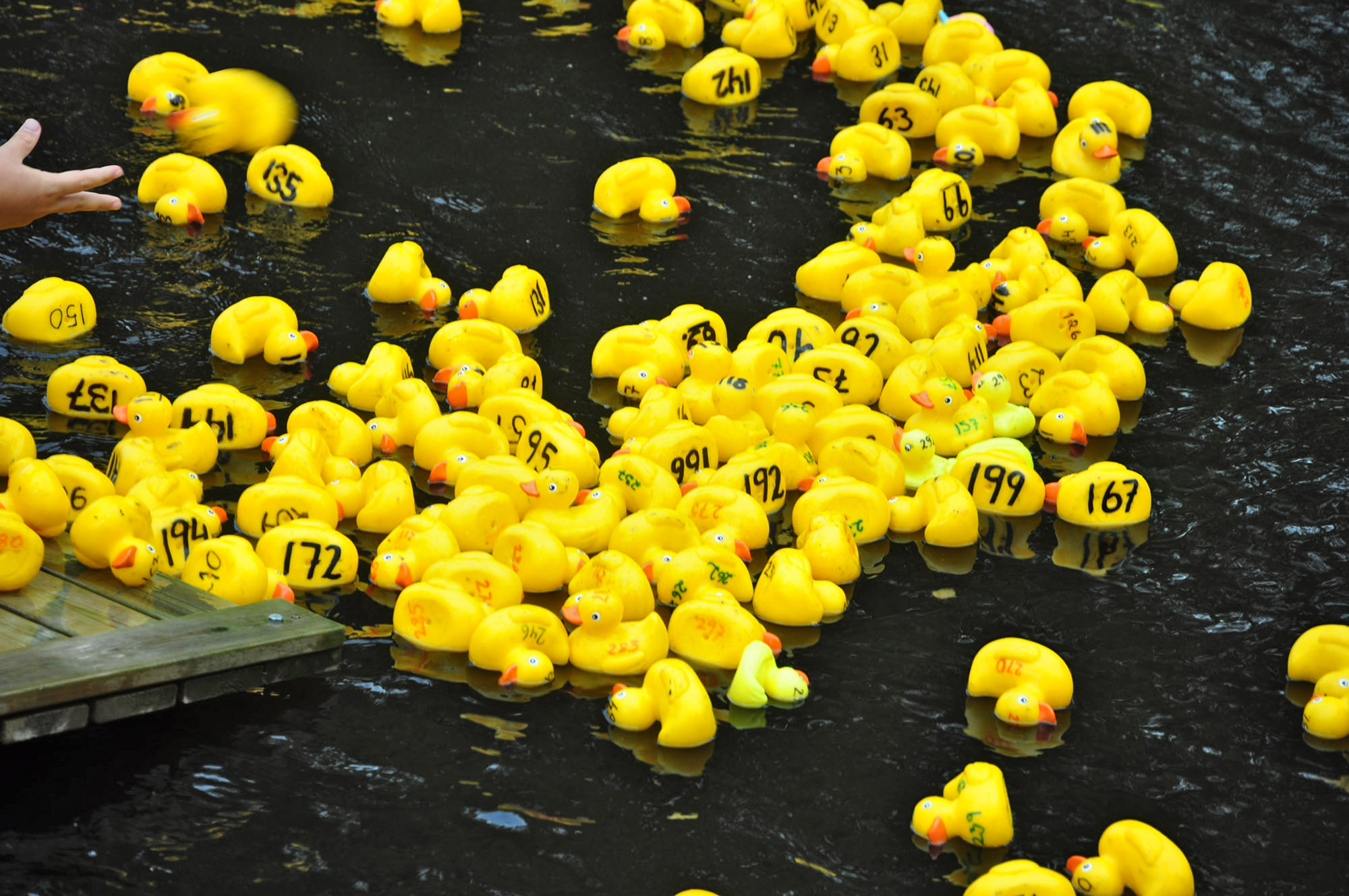Röste.nu – Röstebilder – Ankrace i Galvån 2013
