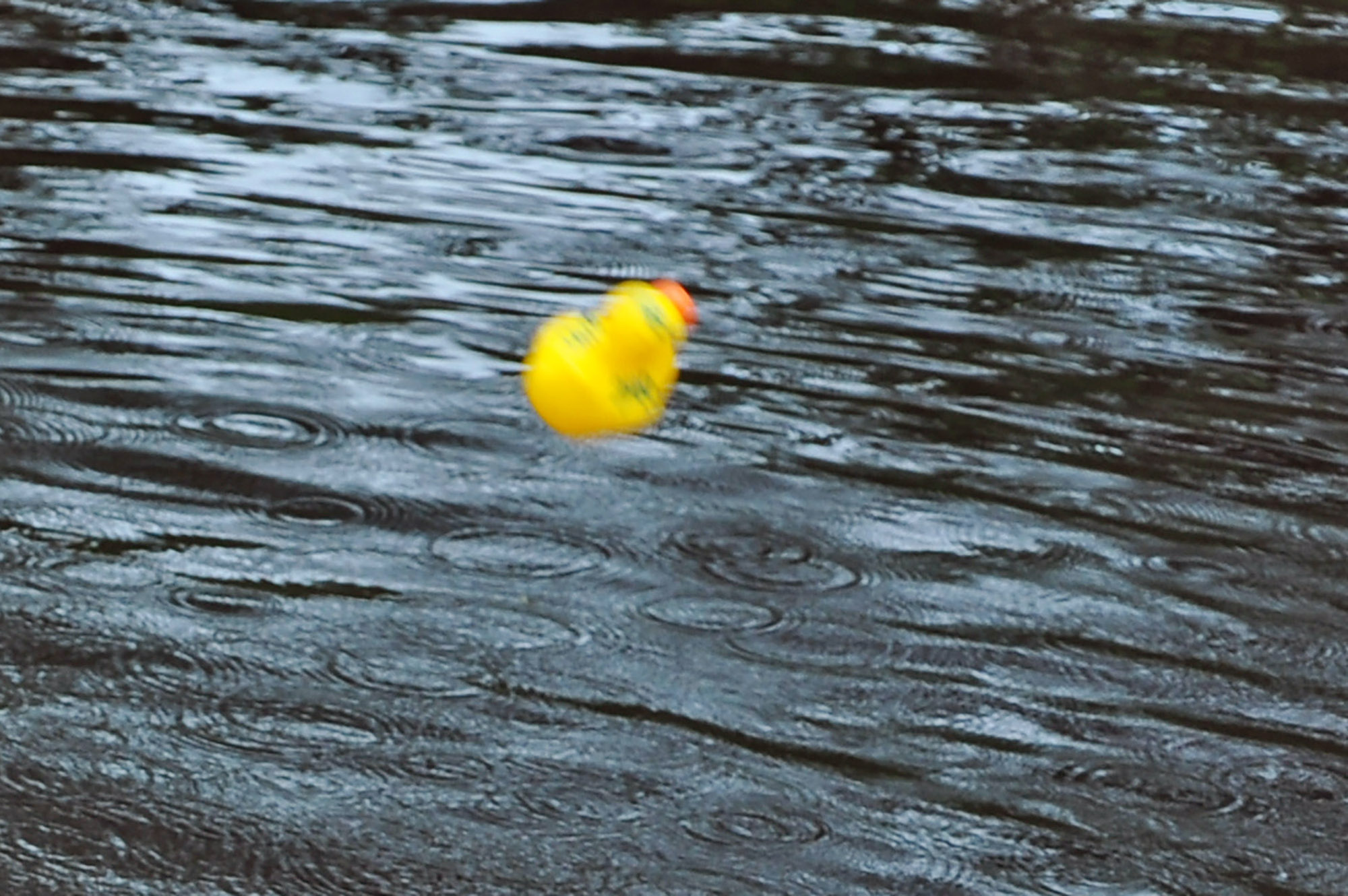 Röste.nu – Röstebilder – Ankrace i Galvån 2013