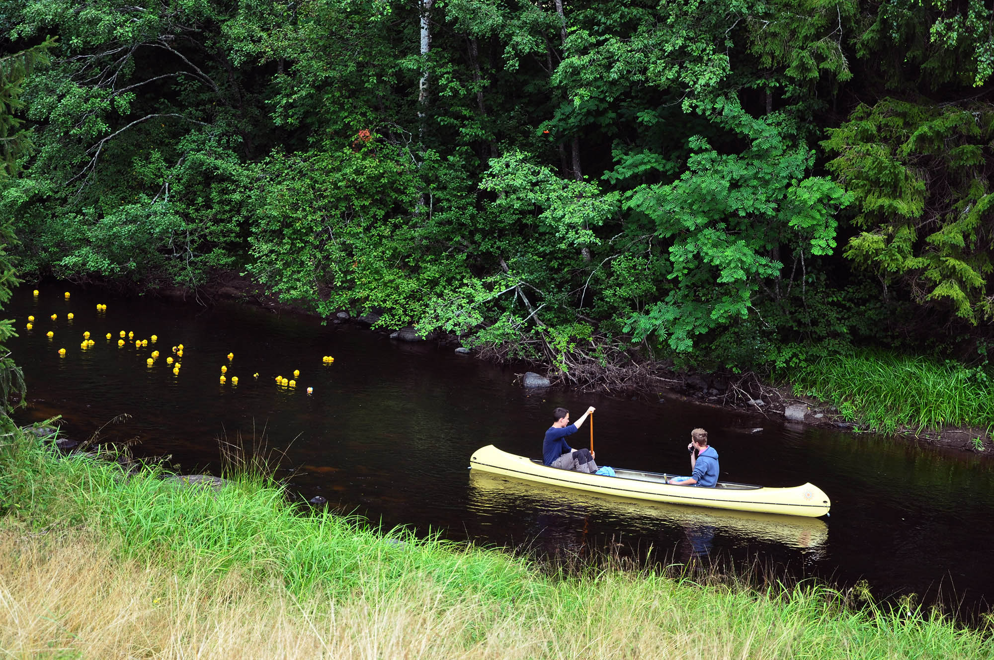Röste.nu – Röstebilder – Ankrace i Galvån 2013
