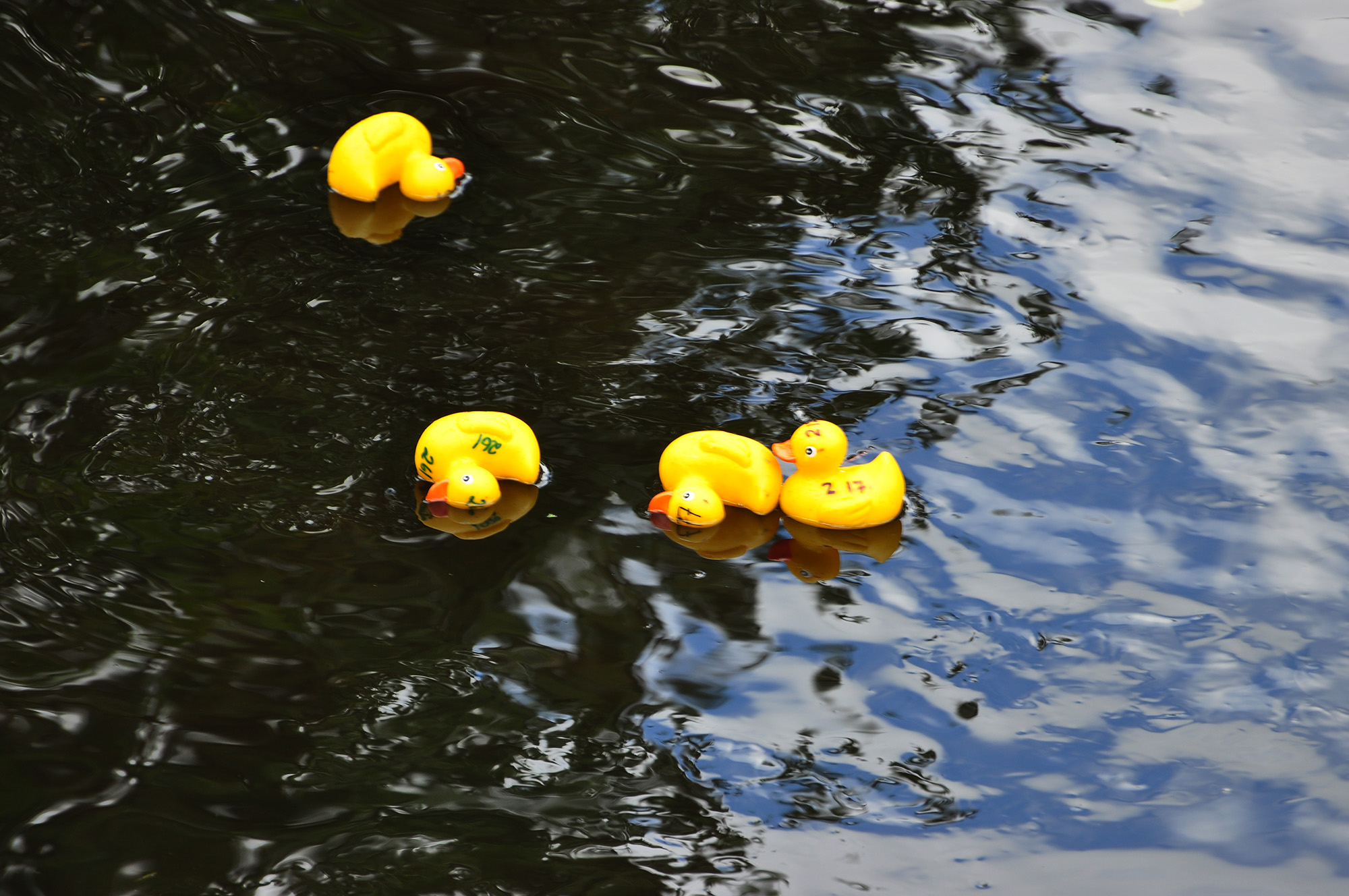 Röste.nu – Röstebilder – Ankrace i Galvån 2013