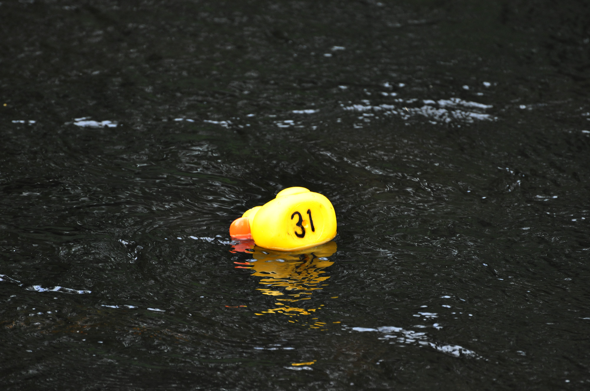 Röste.nu – Röstebilder – Ankrace i Galvån 2013