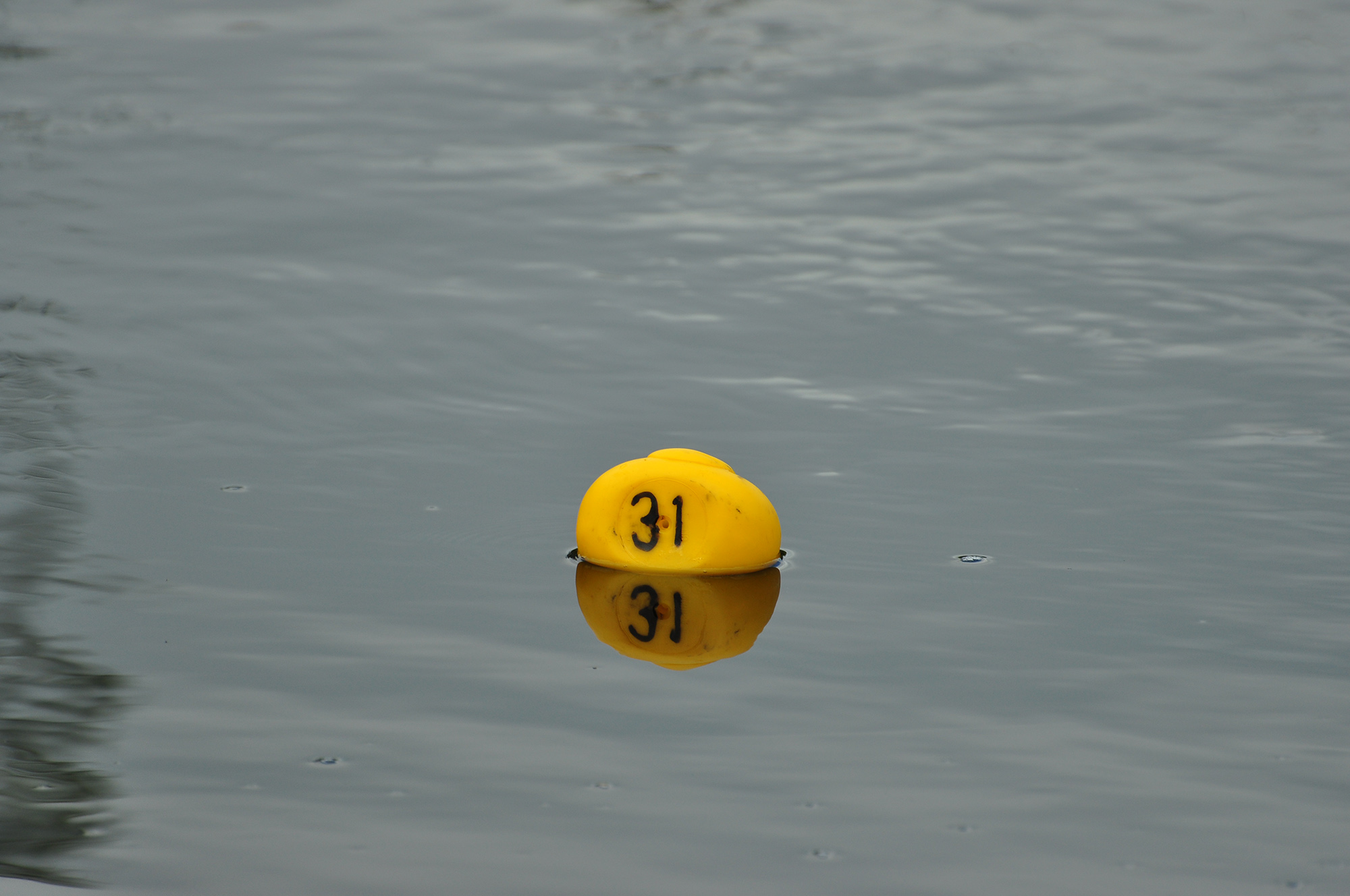 Röste.nu – Röstebilder – Ankrace i Galvån 2013