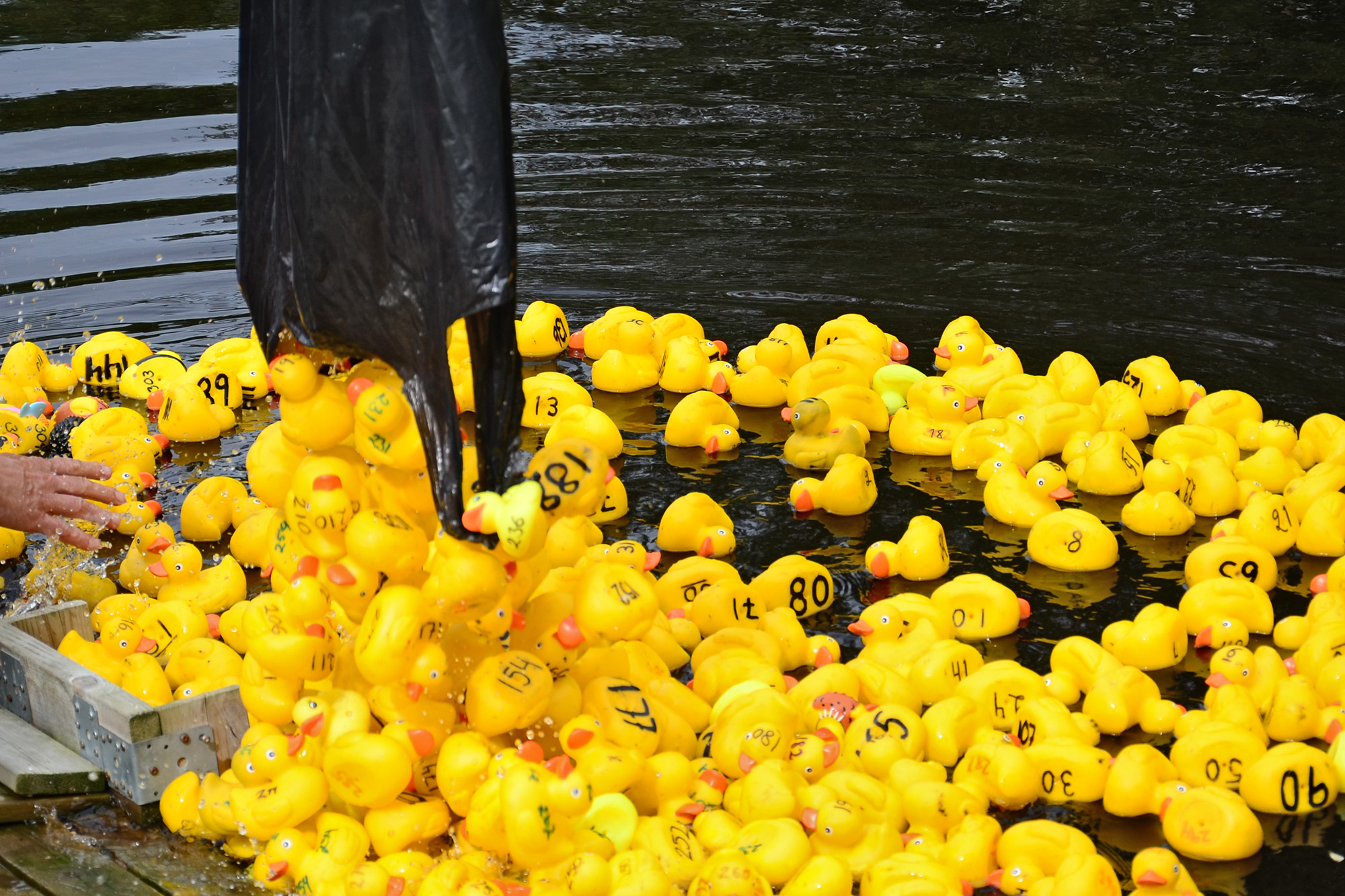 Röste.nu – Röstebilder – Ankrace i Galvån 2014