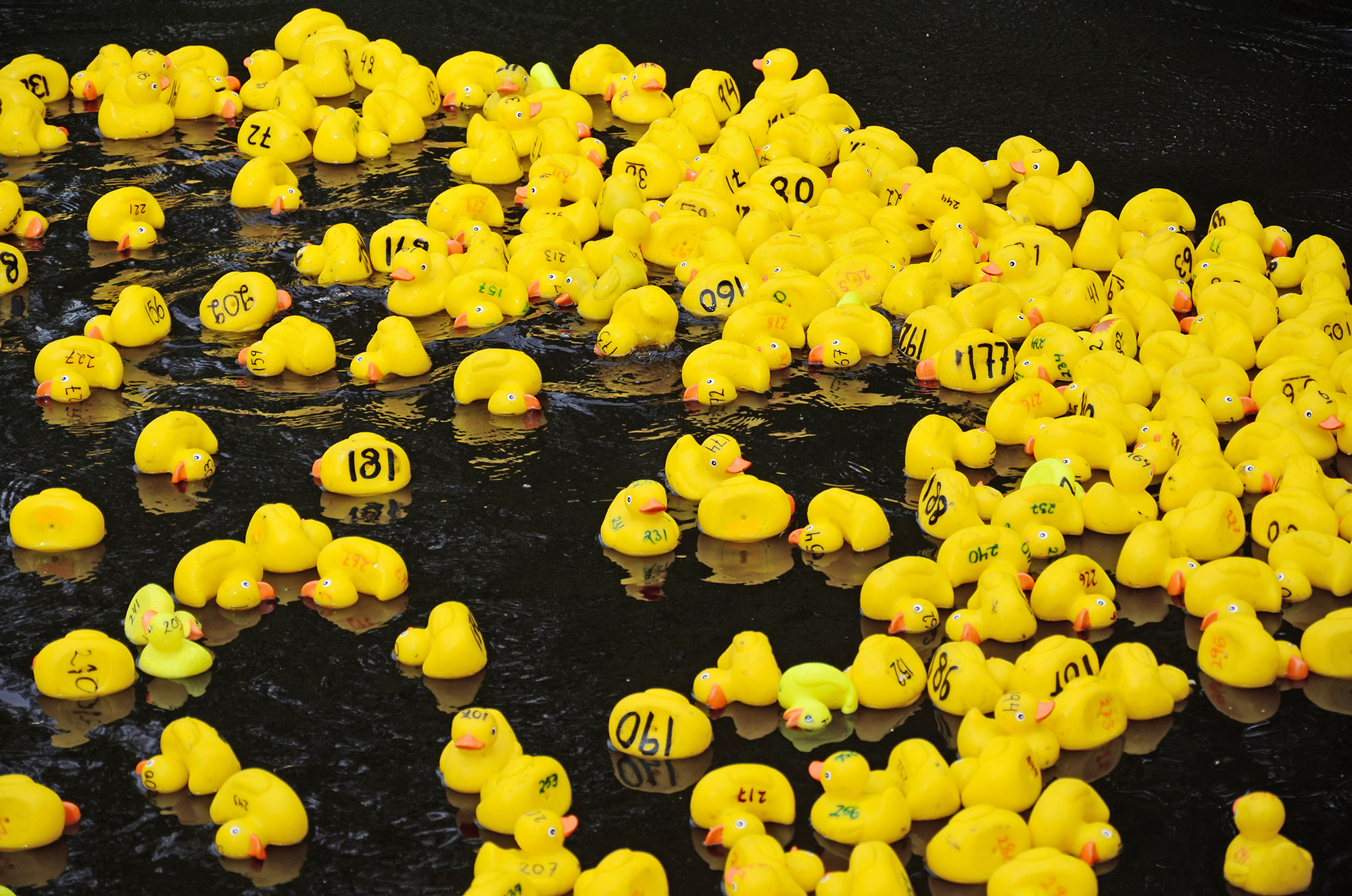 Röste.nu – Röstebilder – Ankrace i Galvån 2014