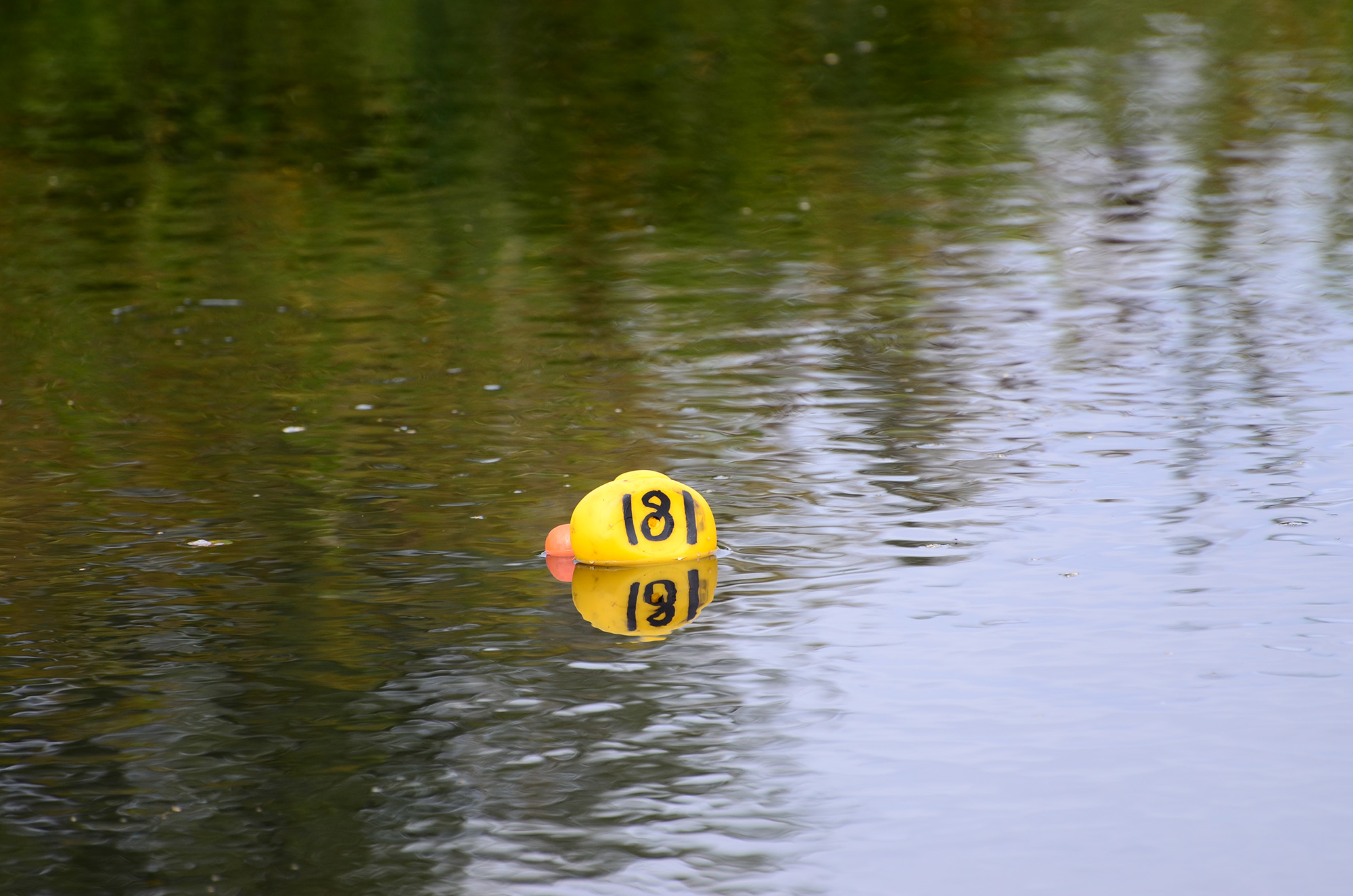 Röste.nu – Röstebilder – Ankrace i Galvån 2014